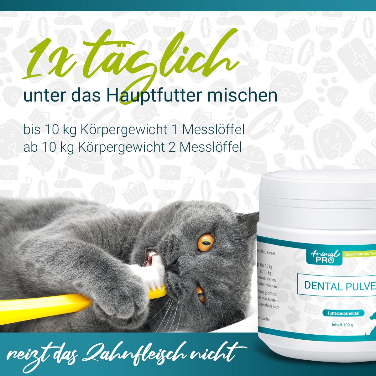 Katze putzt sich die Zähne mit Zahnbürste, neben Dose Animal Pro Dental Pulver. Text: 1x täglich unter das Hauptfutter mischen.