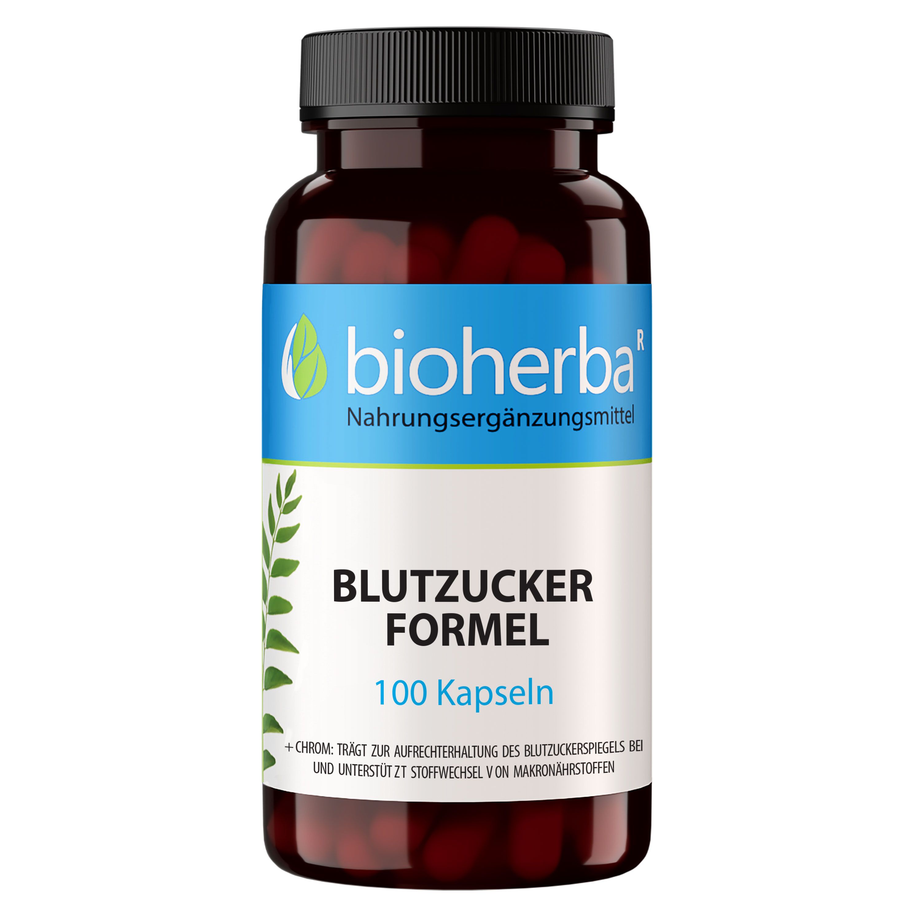 Bioherba Blutzucker Formel Kapseln