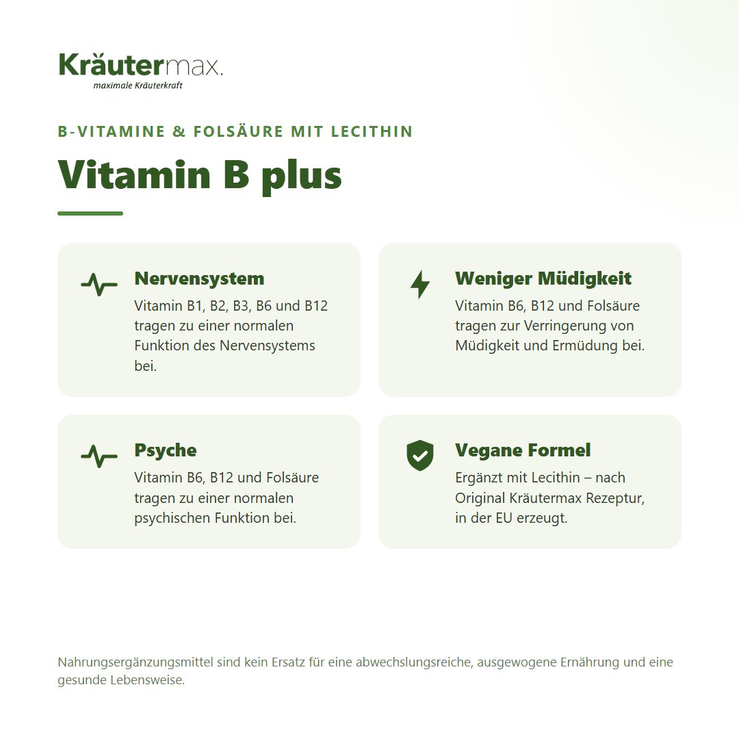 Übersicht über die Vorteile von Kräutermax Vitamin B plus: Nerven, Psyche, weniger Müdigkeit, vegane Formel.