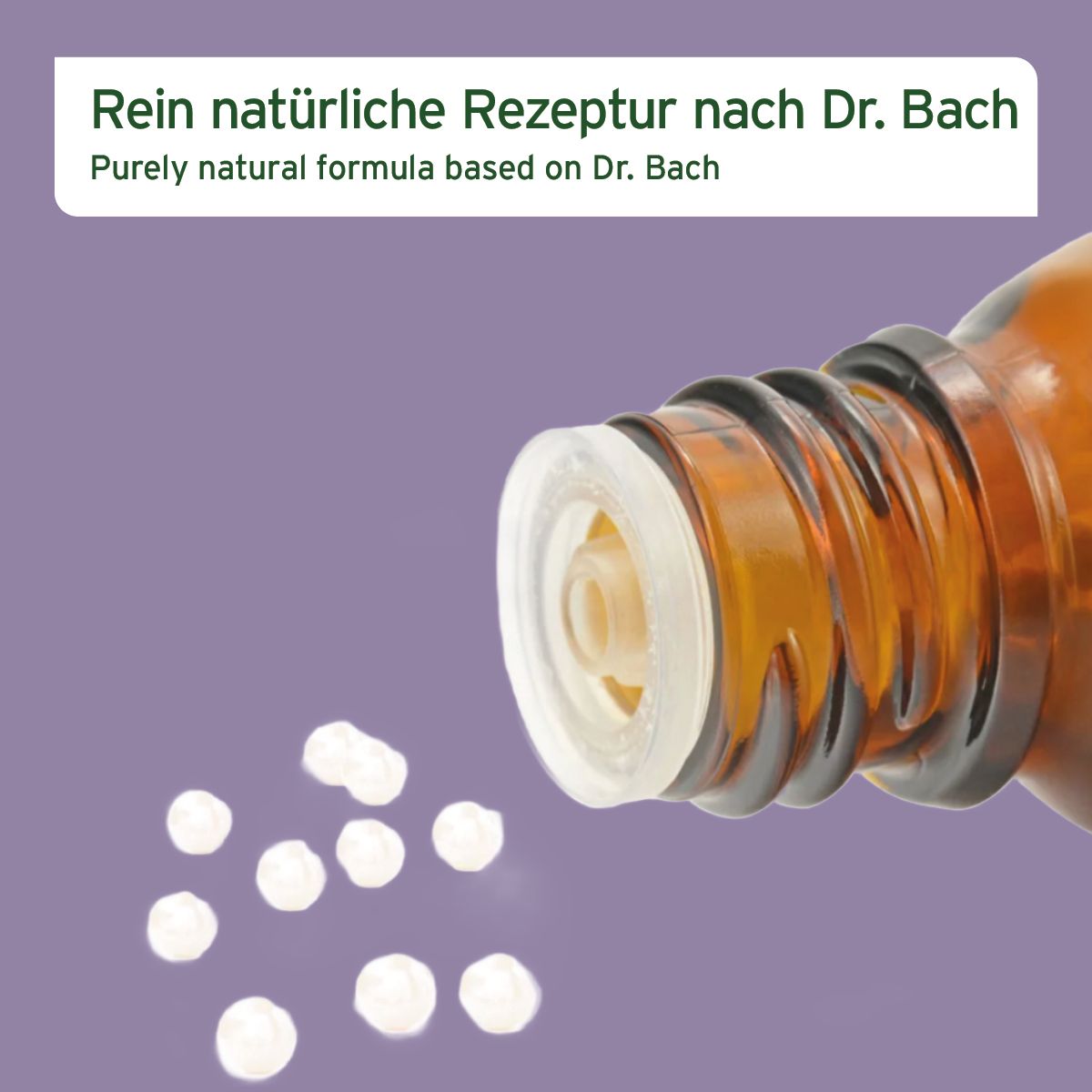 AniForte Bachblüten Vervain
