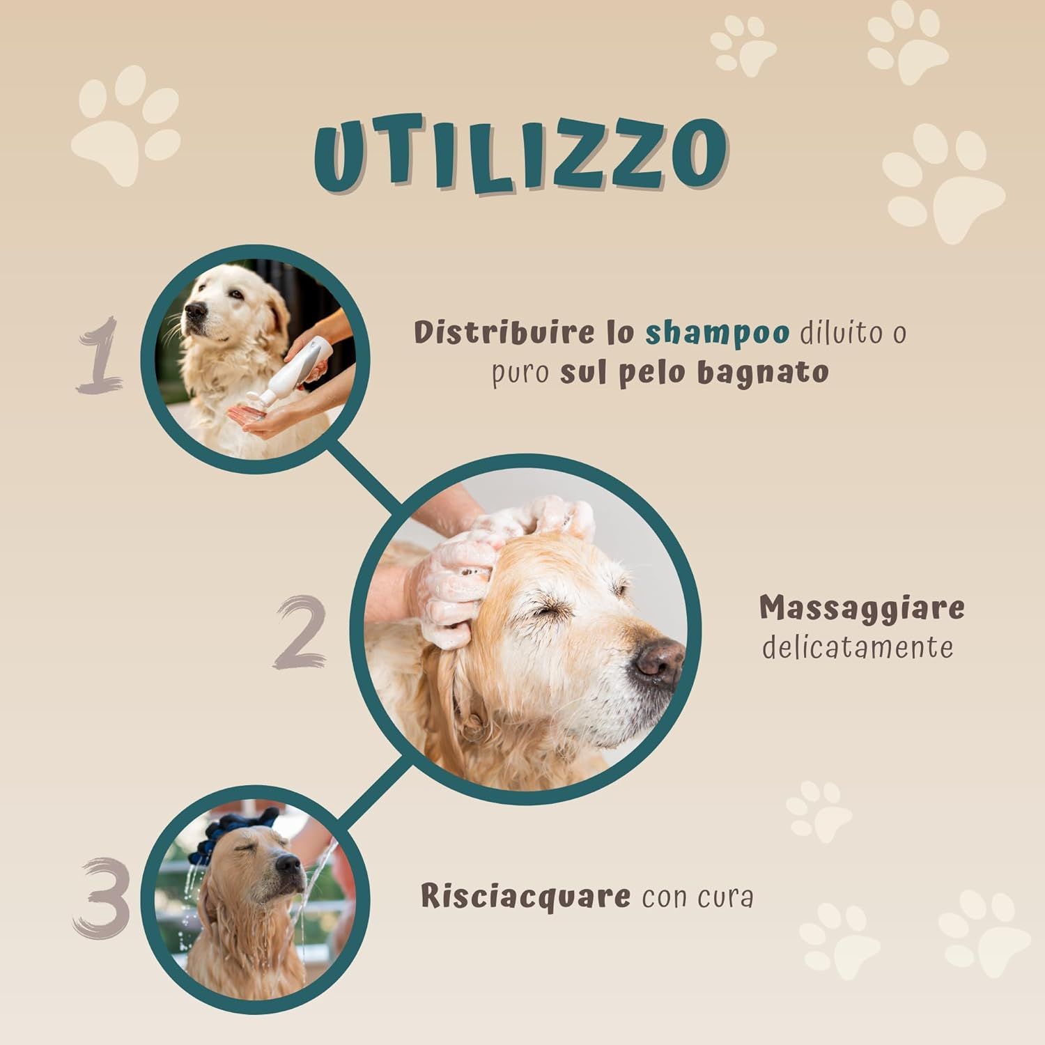 Illustration mit Anweisungen zur Anwendung des Shampoos. Schritte: Auftragen, einmassieren, ausspülen.