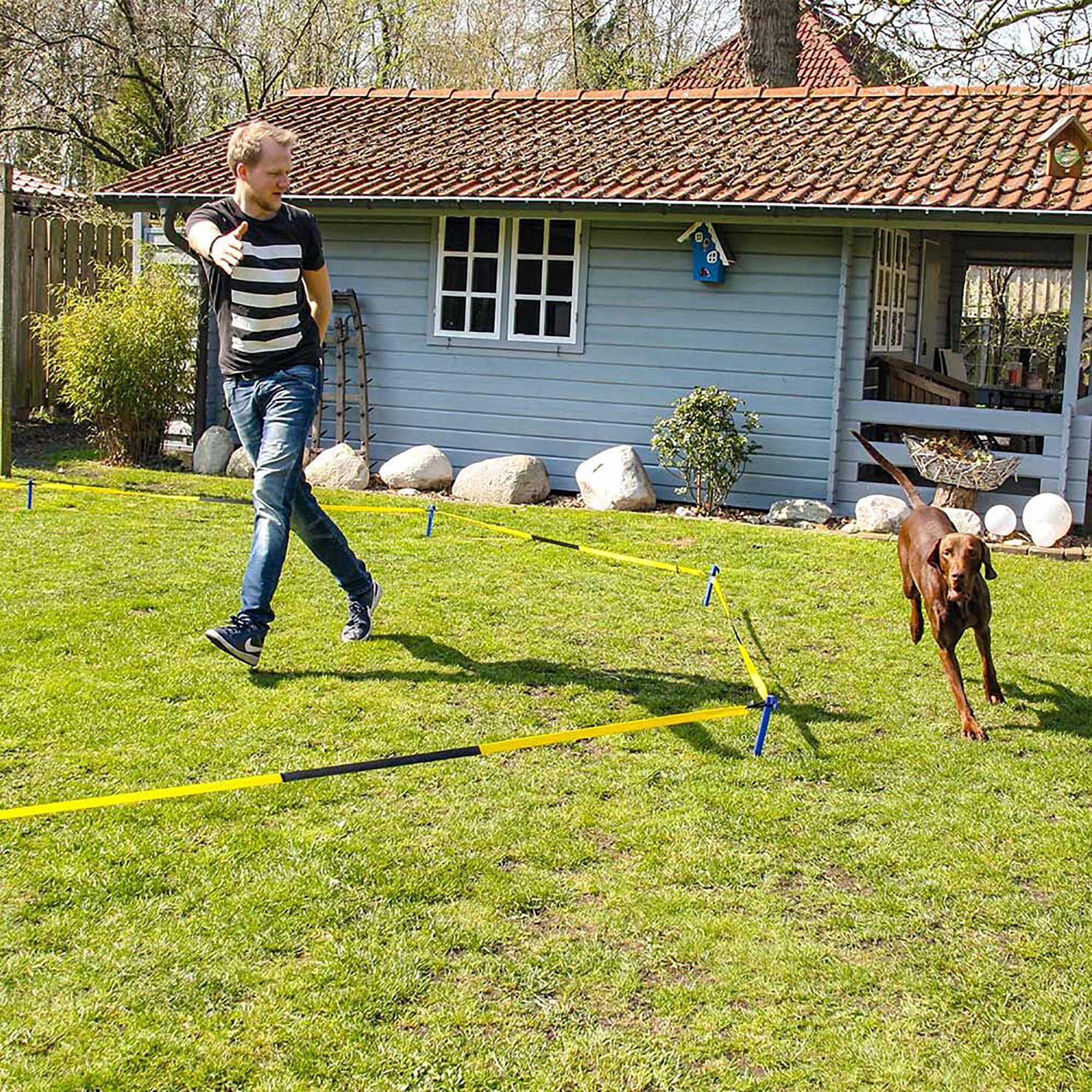 Longier Set für Hunde mit einem Radius von 3 -3,5 m