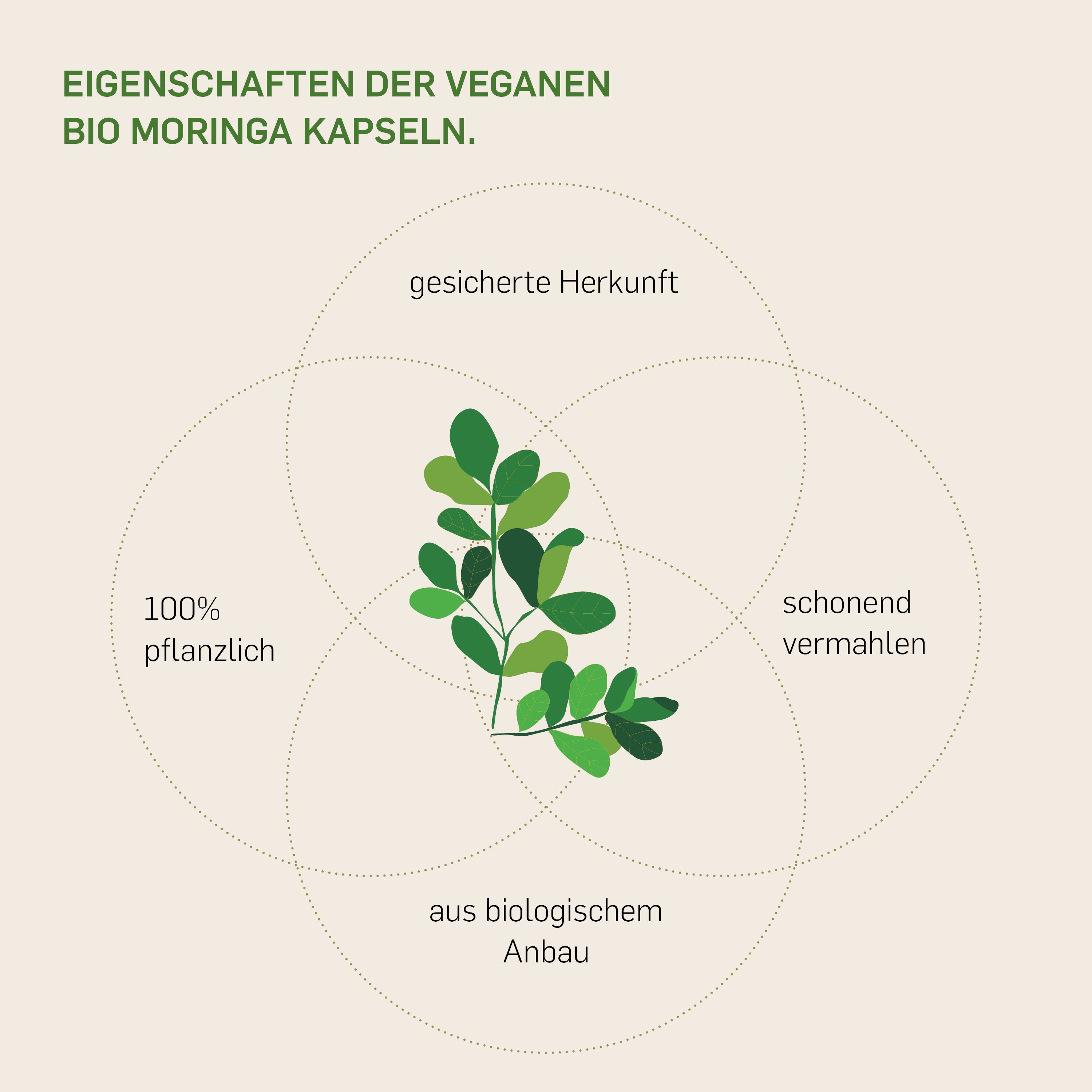 Kurkraft© Bio Moringa 120 St Kapseln