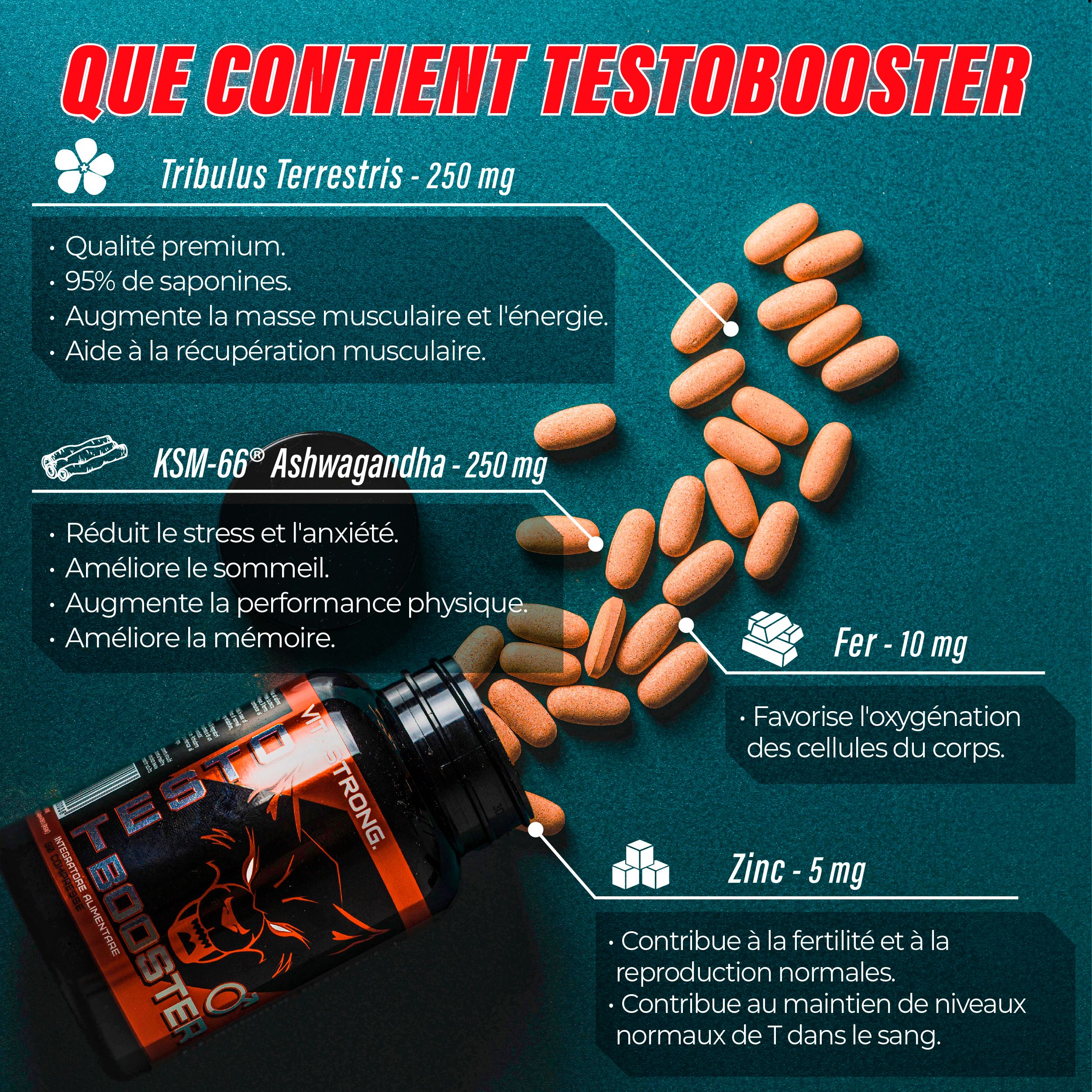 Comprimés et flacon Vitastrong Testobooster. Comprimés sur une table. Texte : Que contient Testobooster ?