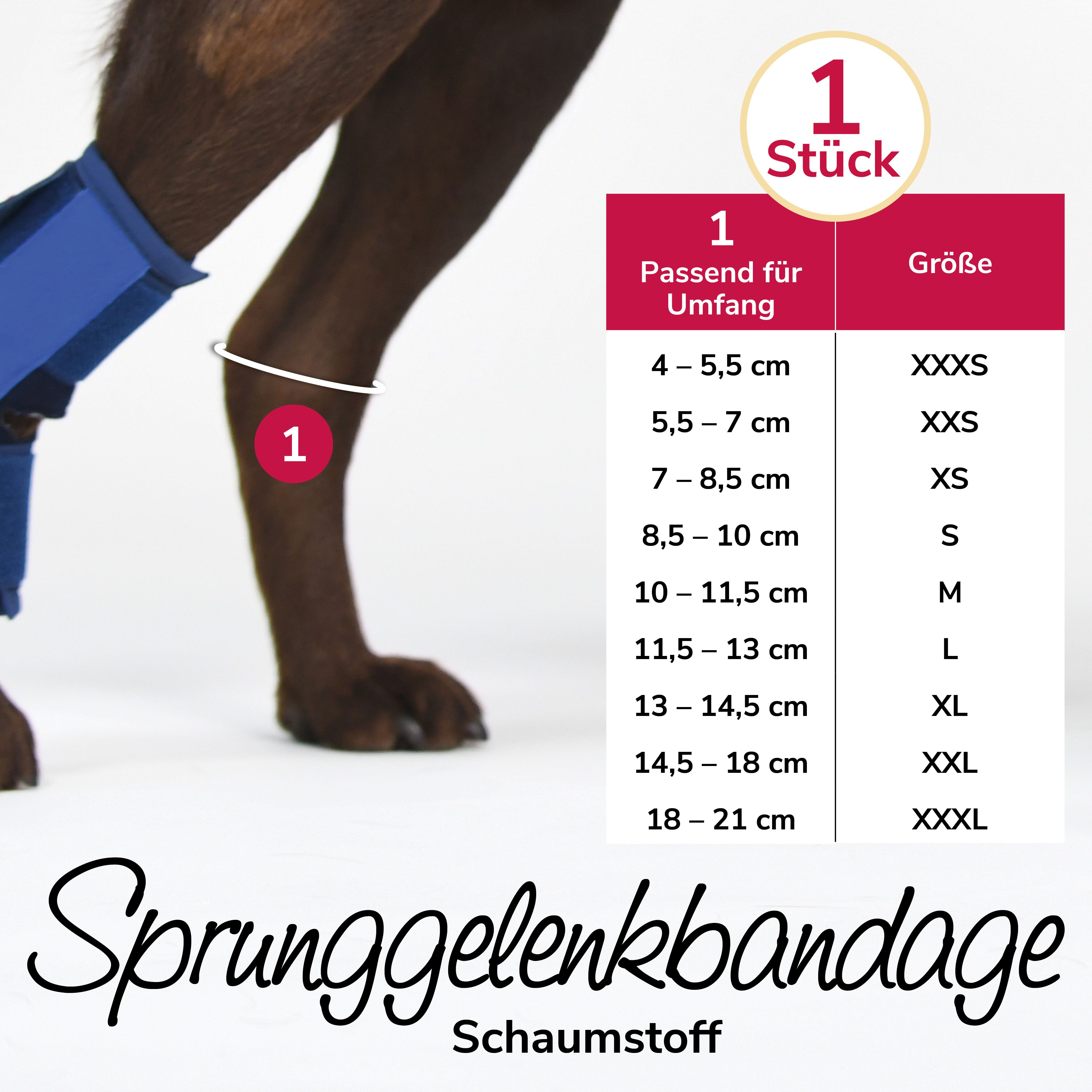 Hundebein mit Sprunggelenkbandage. Größentabelle mit Umfang in cm und Größen von XXXS bis XXXL.