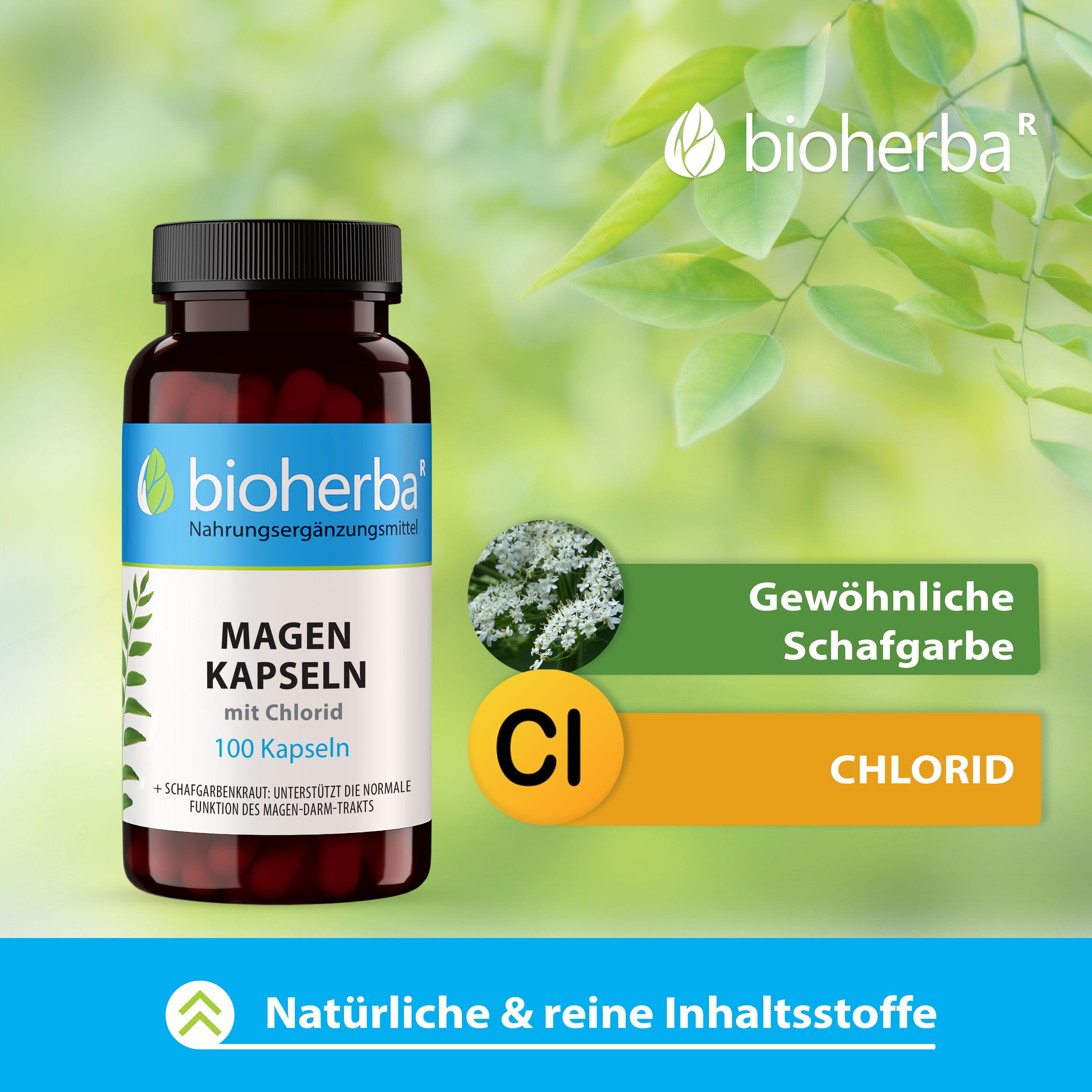 Bioherba Magen Kapseln