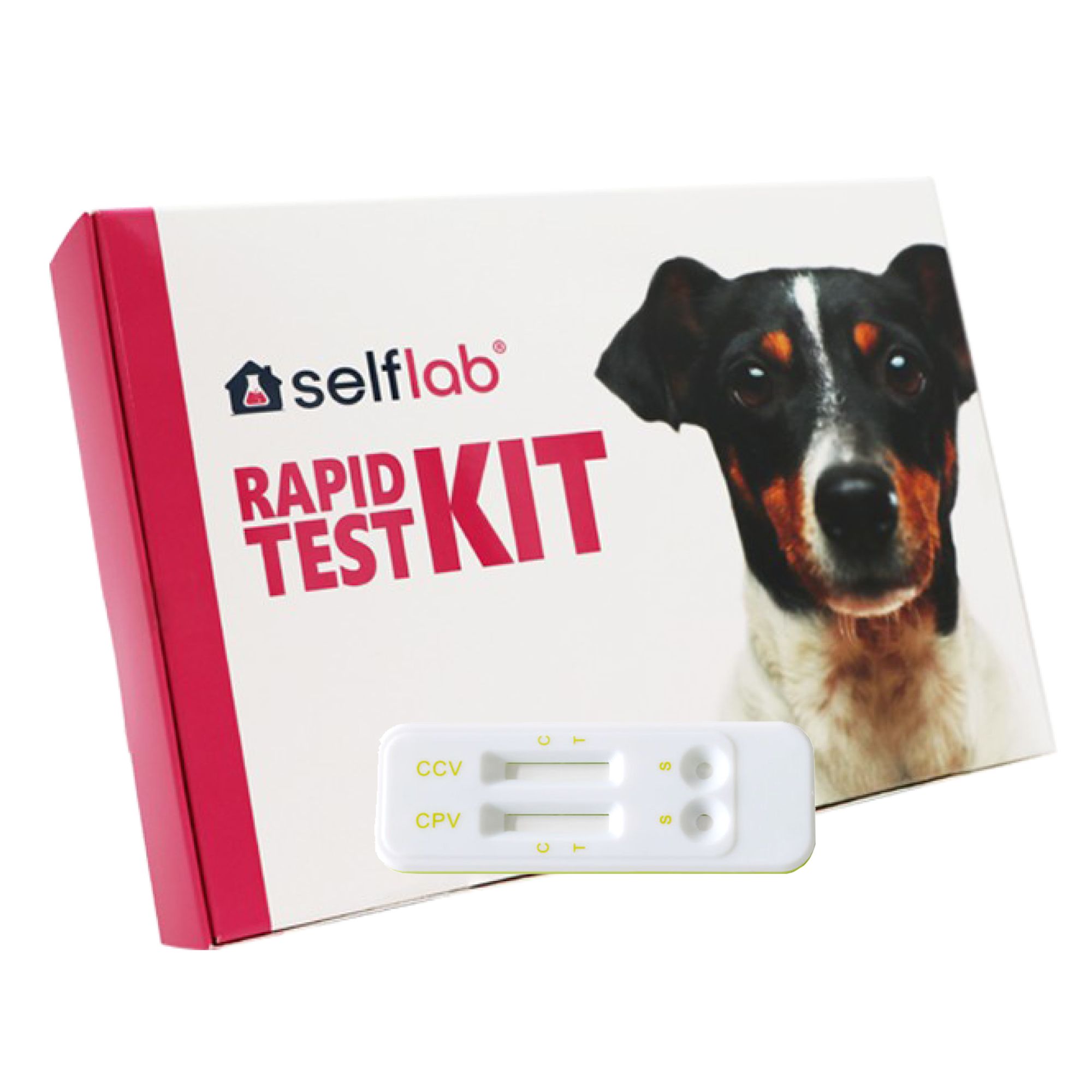 selflab Schnelltest Magen-Darm-Erkrankungen bei Hunden - Parvovirus- und Coronavirus-Antigen