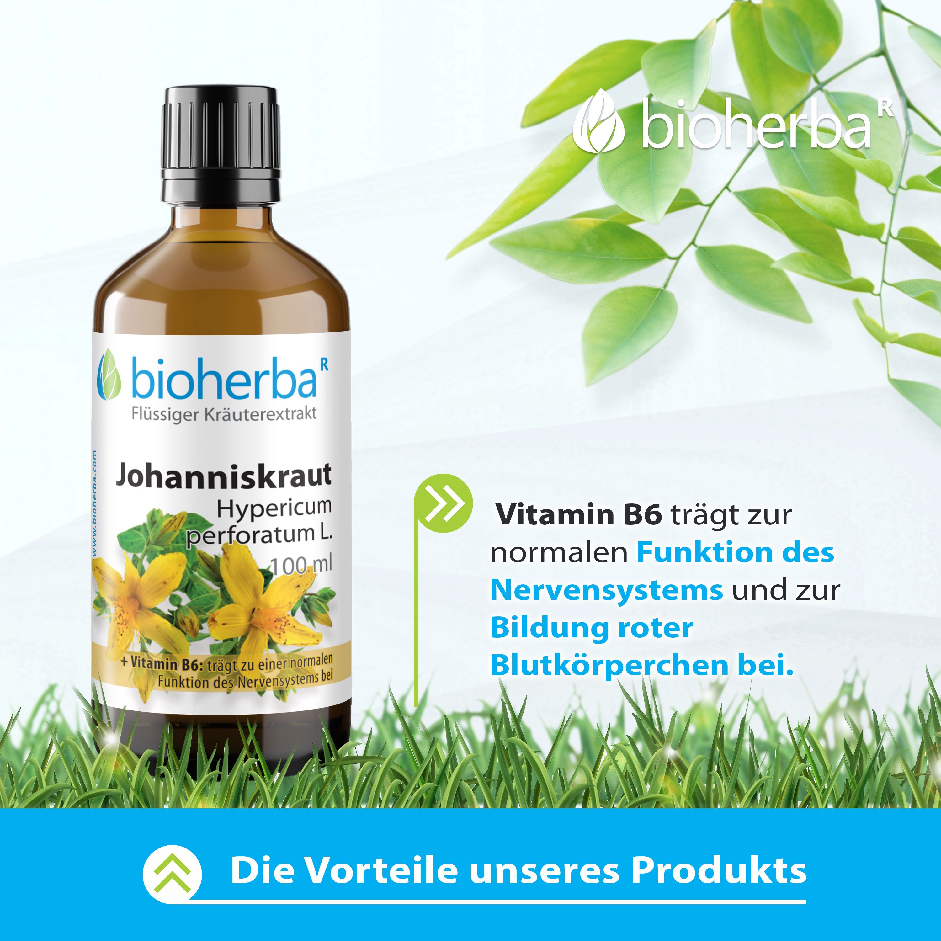 Bioherba Johanniskraut Tropfen Tinktur