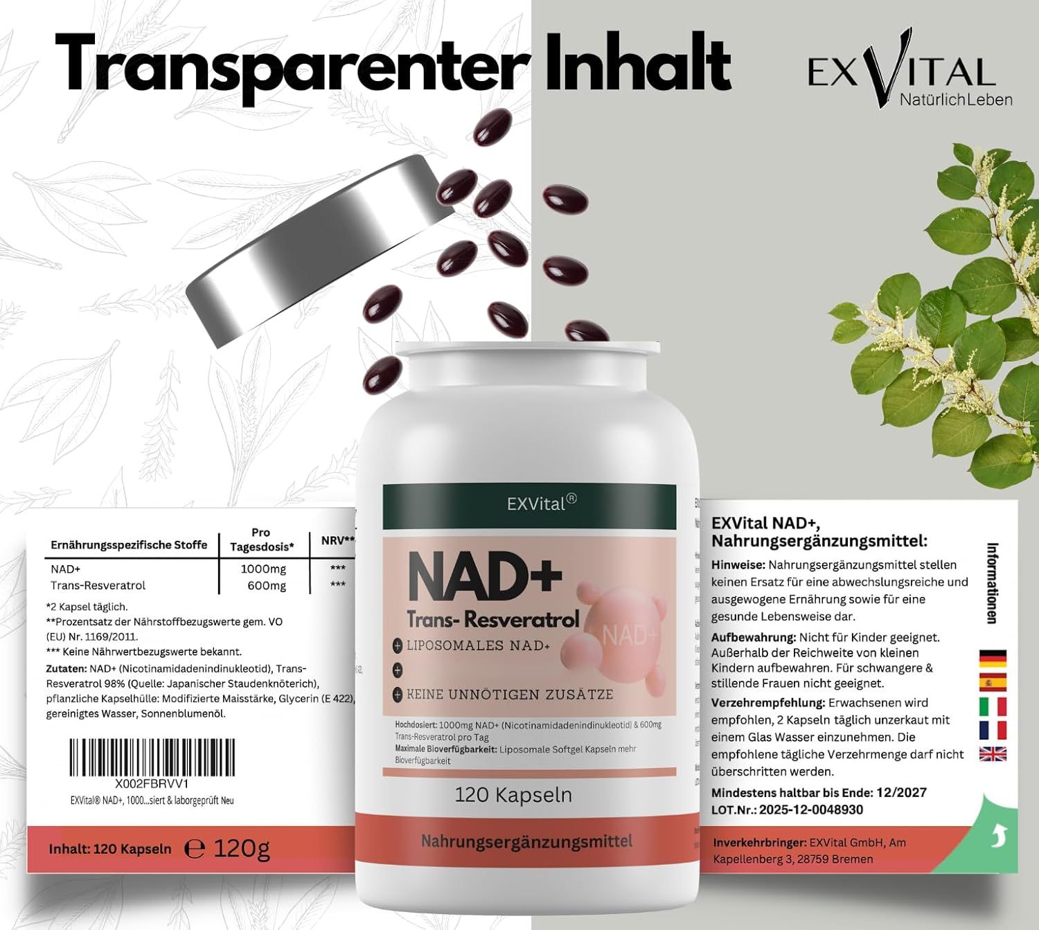 Weiße Flasche mit silbernem Deckel. Aufschrift: EXVital NAD+ Trans-Resveratrol. 120 Kapseln. Text und Informationen. Hintergrund geteilt.