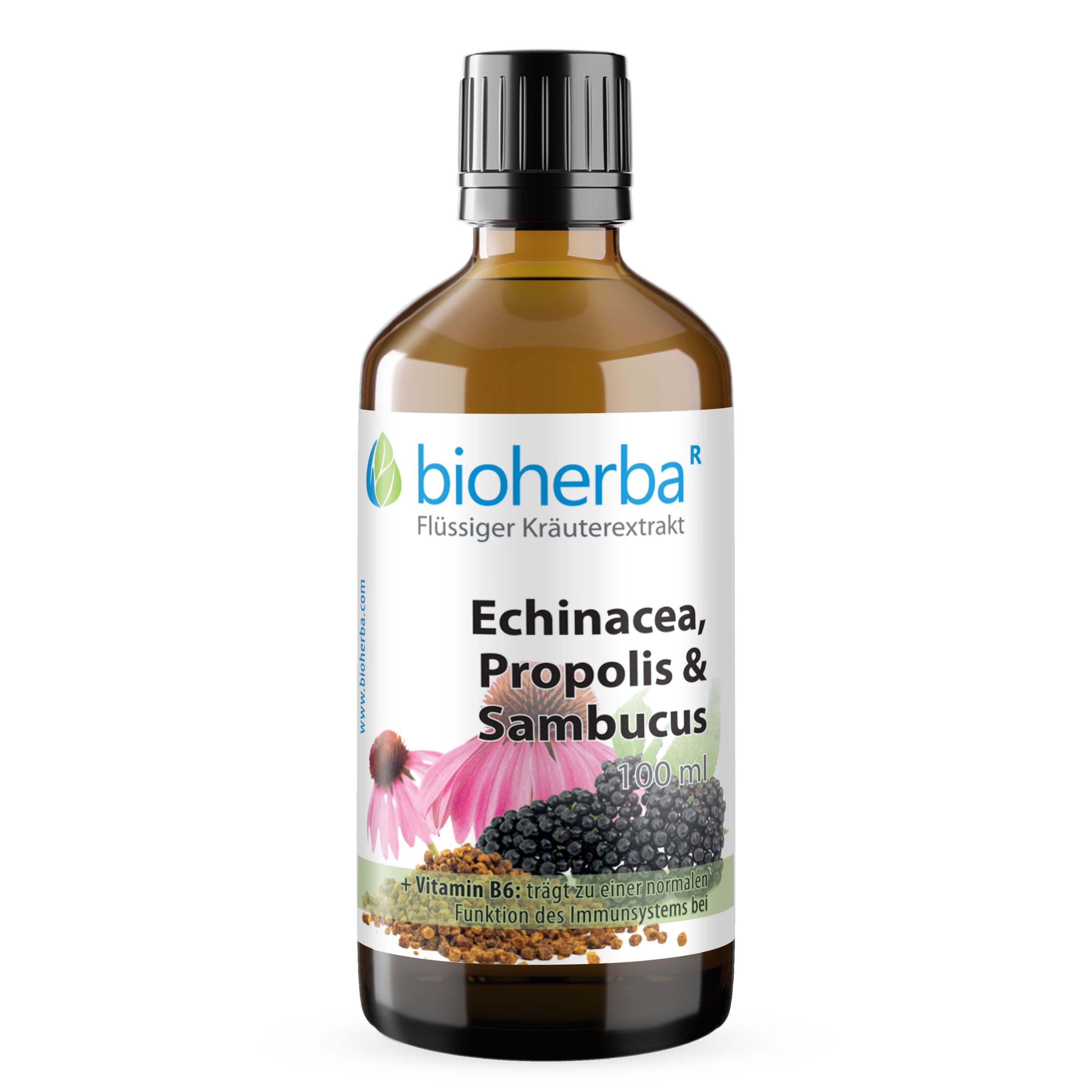 Braune Glasflasche mit schwarzem Deckel. Bioherba Echinacea, Propolis & Sambucus Tinktur. Etikett mit Produktinformationen.