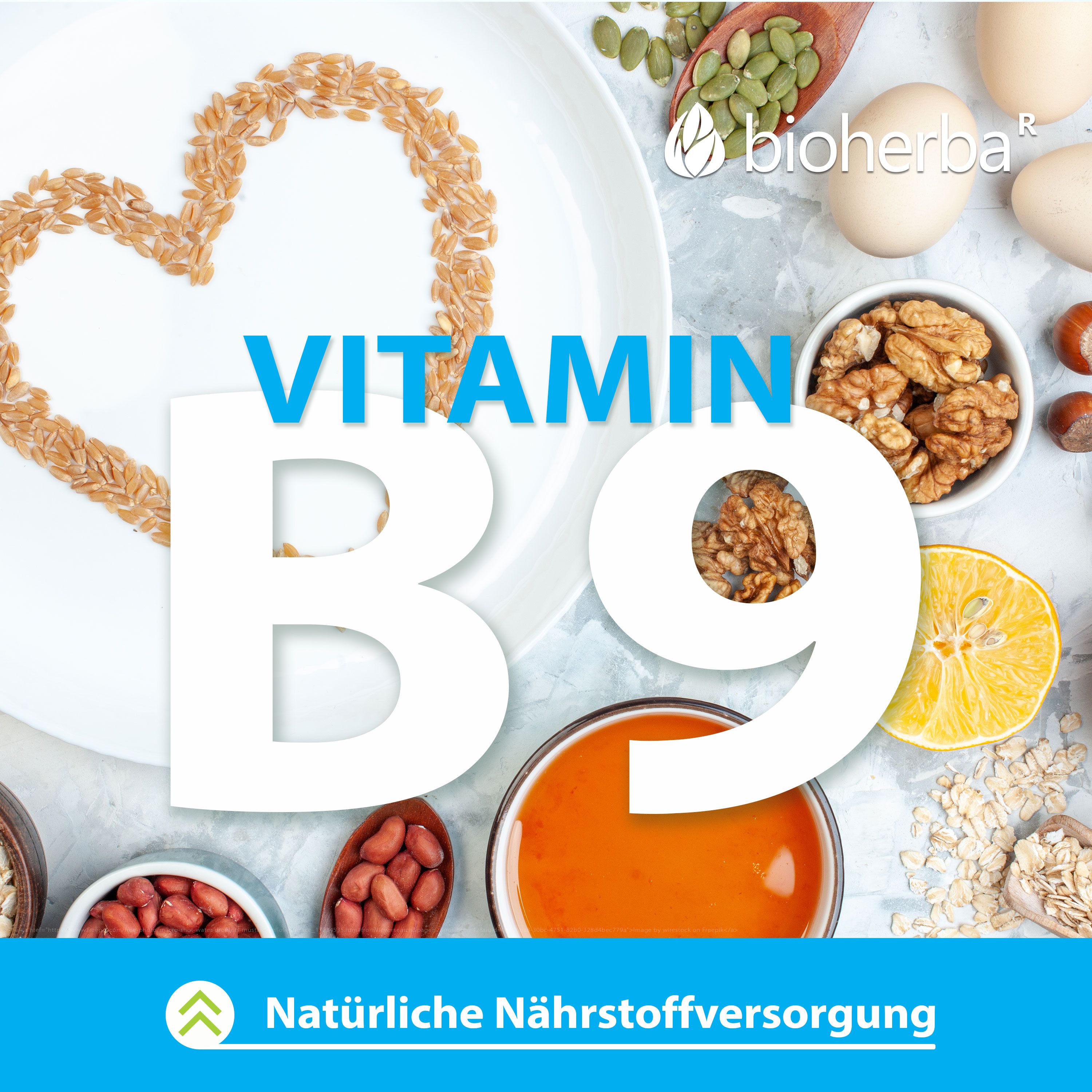 Komposition mit Vitamin B9. Nüsse, Samen, Eier, Getreide, Orange. Bioherba Logo. Natürliche Nährstoffversorgung.