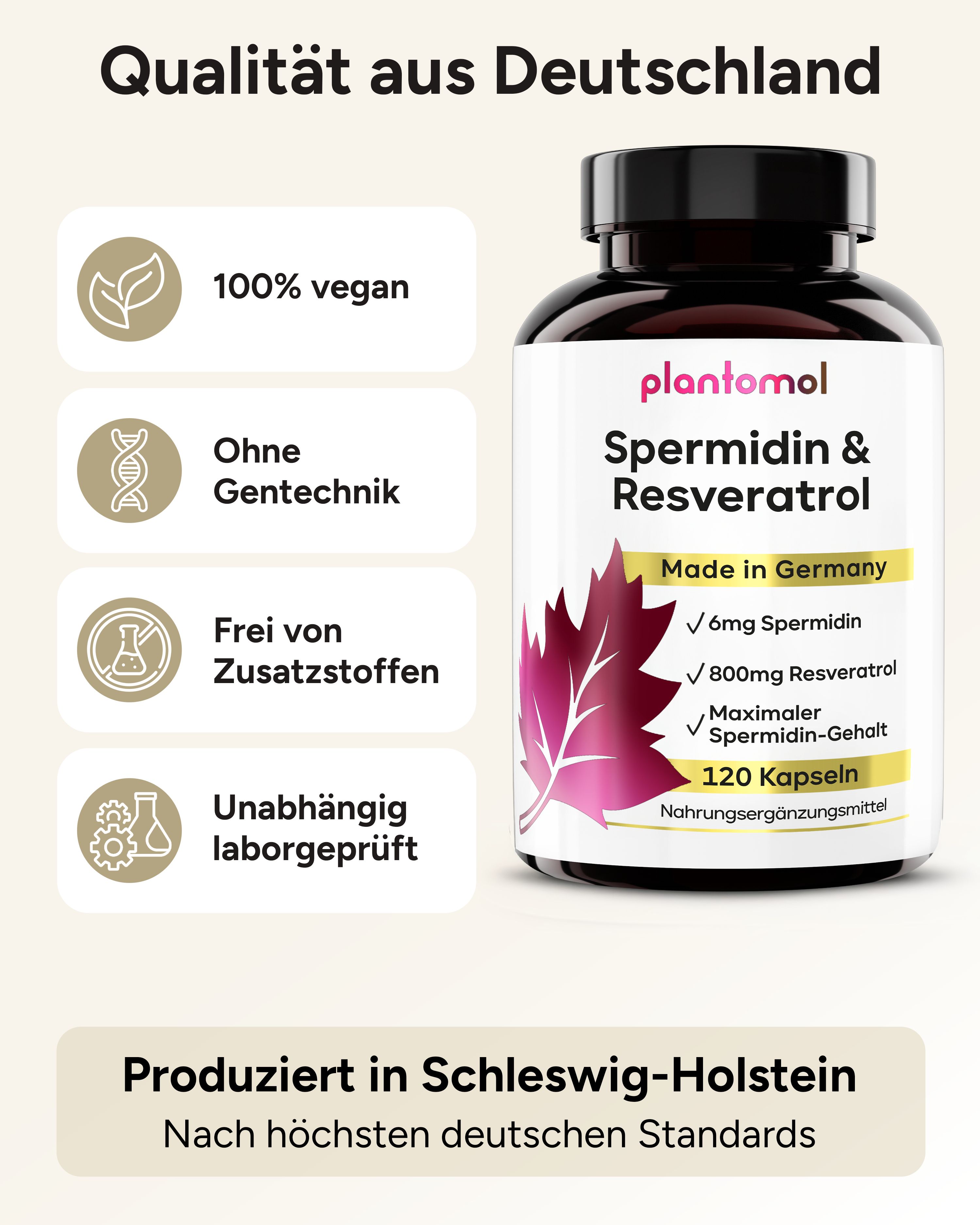 Flasche mit plantomol Spermidin & Resveratrol. 100% vegan, ohne Gentechnik, frei von Zusatzstoffen, laborgeprüft.