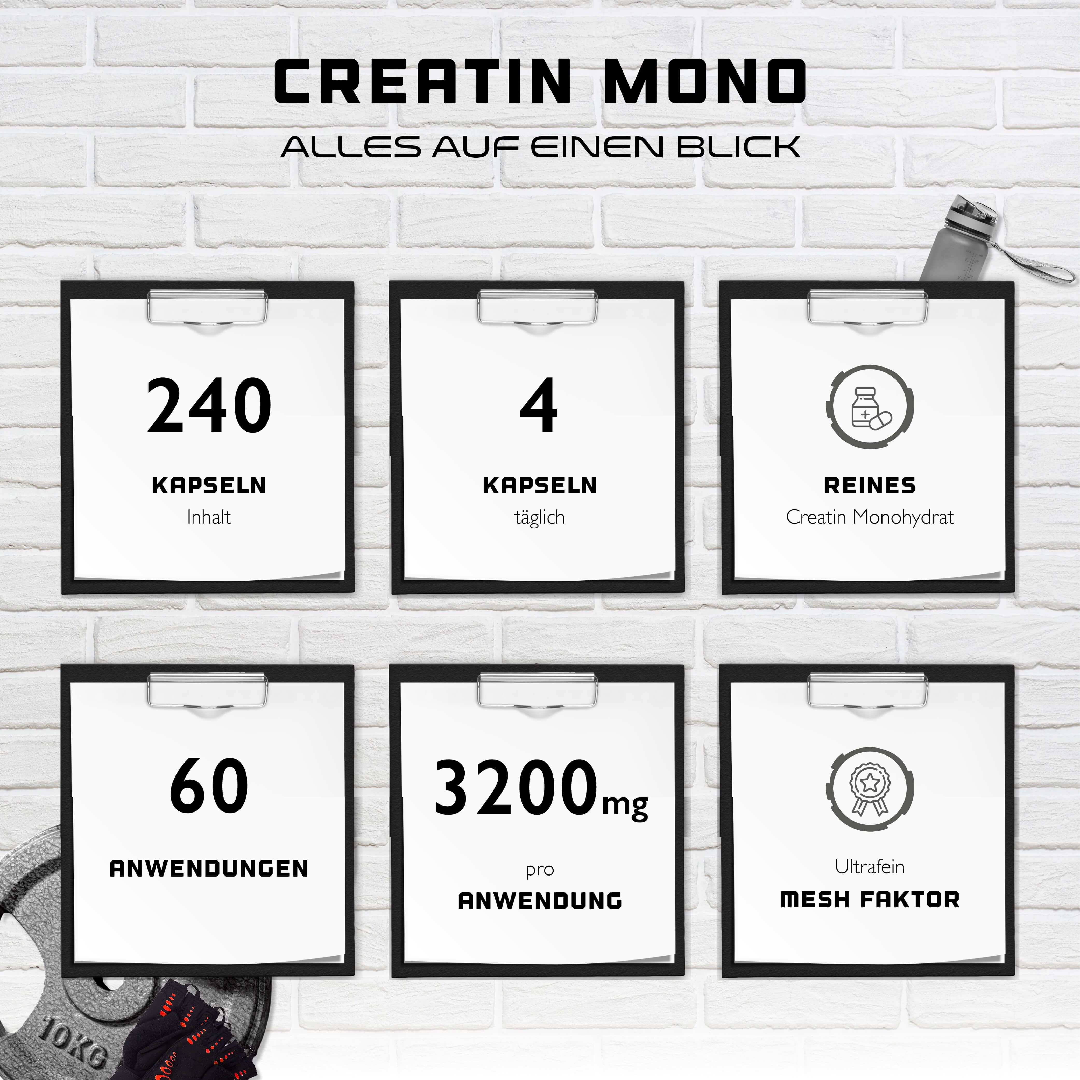 Infografik mit Informationen zu Creatin Mono. Enthält Angaben zu Kapselanzahl, Dosierung, Reinheit und Mesh-Faktor.
