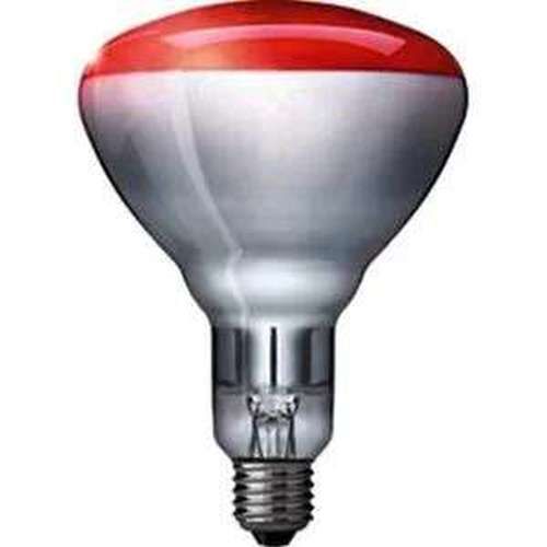 Philips Infrarot Reflektorlampe 1 St