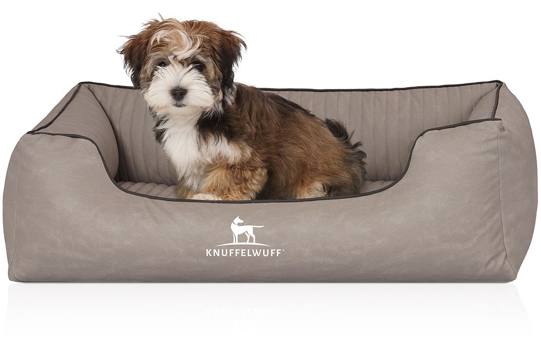 Hundebett Columbia, beige, mit Hund. Rechteckige Form mit erhöhten Seiten. Schwarze Paspelierung. Logo Knuffelwuff. Kleiner Hund sitzt.