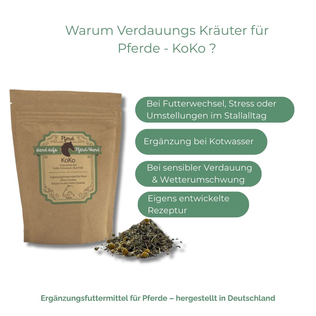 Braune Tüte mit Produktetikett neben Textfeldern. Text: Warum Verdauungs Kräuter für Pferde - KoKo? Ergänzungsfuttermittel für Pferde.
