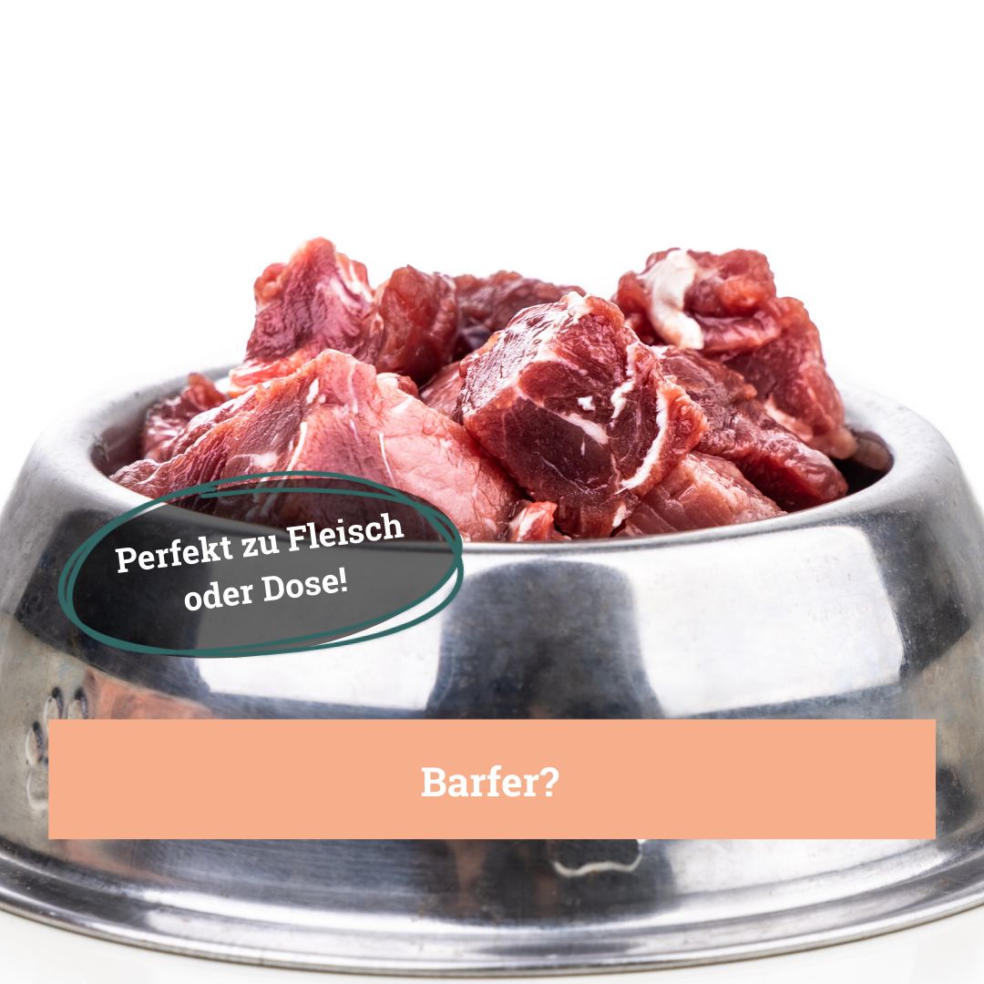 Metallschüssel mit rohem Fleisch. Text: Perfekt zu Fleisch oder Dose!
