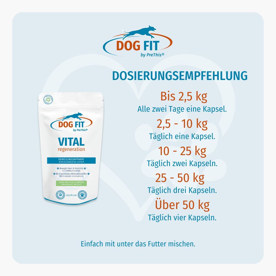 Grafik mit DOG FIT Logo und Produktbezeichnung. Text: VITAL regeneration, Dosierungsempfehlung: Bis 2,5 kg, Alle zwei Tage eine Kapsel.