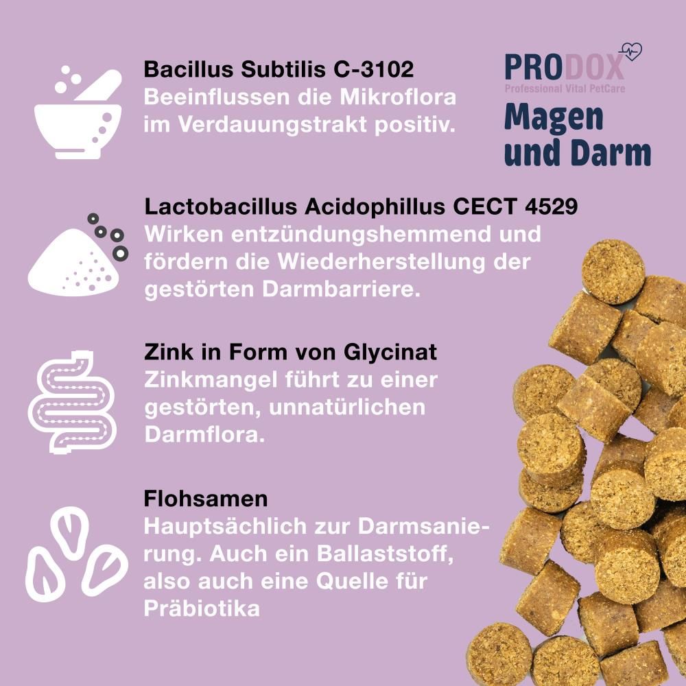 Vital Bites und Text. Text beschreibt Inhaltsstoffe: Bacillus Subtilis, Lactobacillus Acidophilus, Zink, Flohsamen.