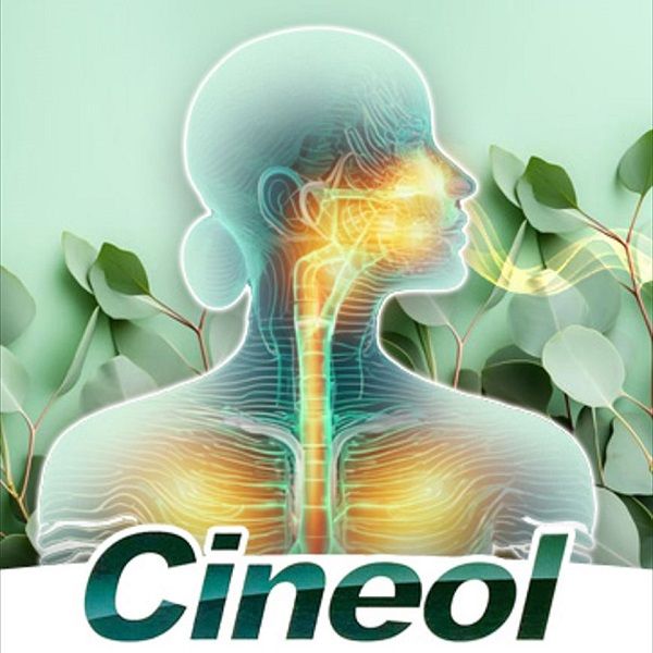Illustration einer Person mit hervorgehobenen Atemwegen. Überlagerung mit dem Wort Cineol. Hintergrund mit Eukalyptusblättern.