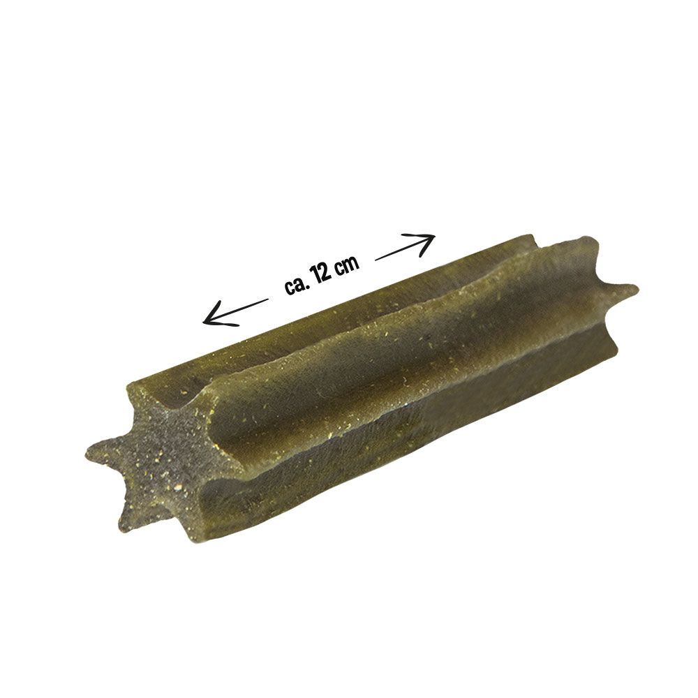 Einzelner grüner Stick in Sternform. Pfeile zeigen die Länge von ca. 12 cm an.
