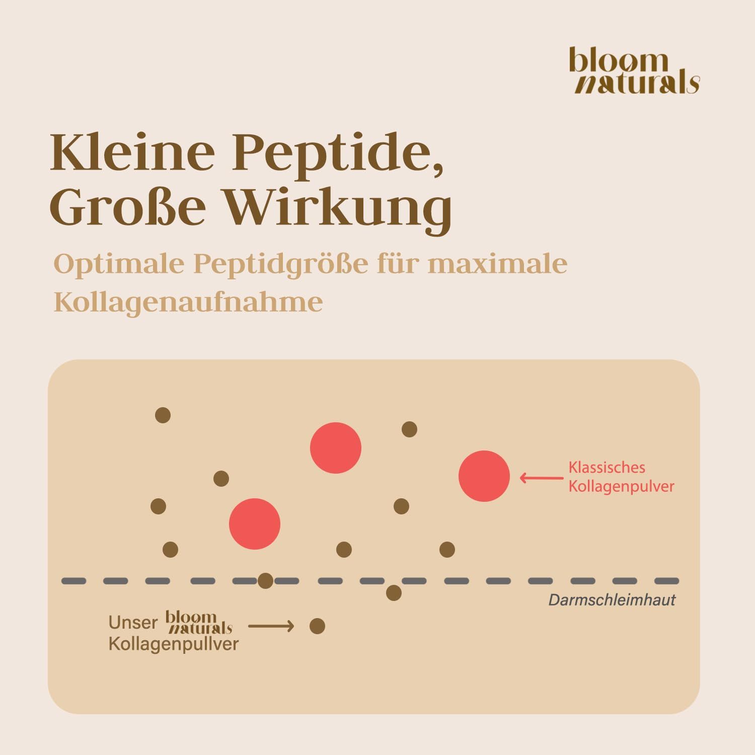 Bloom Naturals Collagen Hydrolysat Pulver