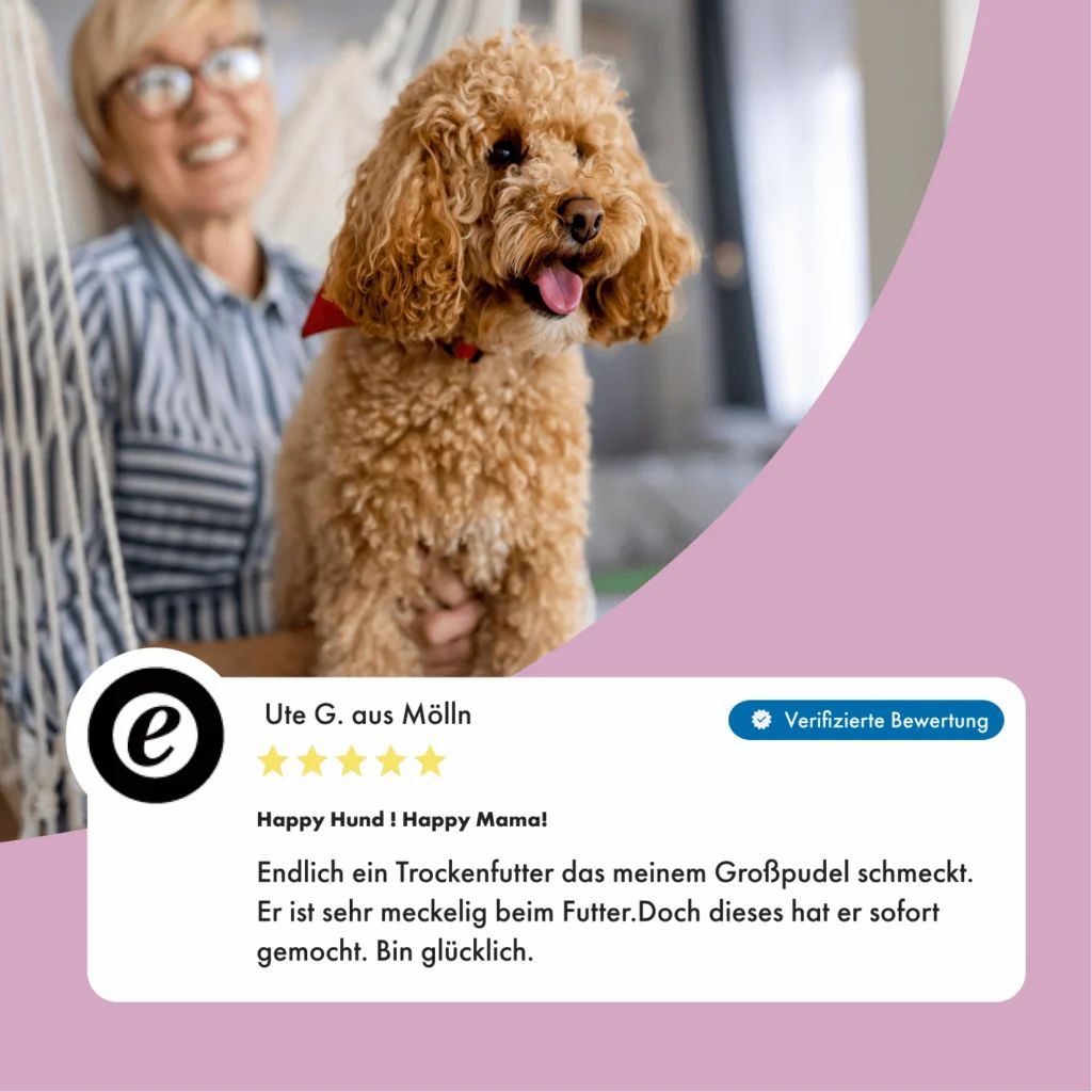 Hundefutter-Beutel mit Lamm und Huhn, 100% Irland, mit Gemüse und Kelp-Alge.