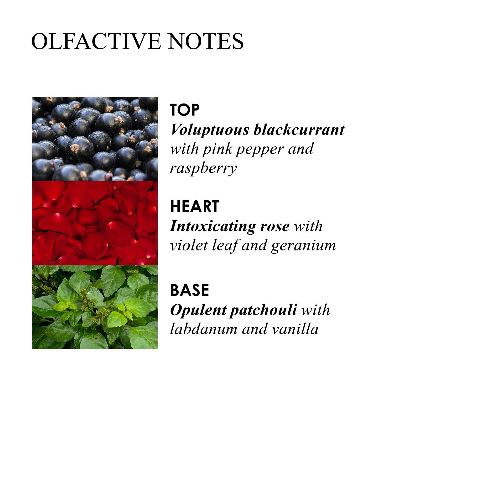 Olfaktorische Noten. Top: Schwarze Johannisbeere, rosa Pfeffer, Himbeere. Herz: Rose, Veilchenblatt, Geranie. Basis: Patschuli, Labdanum, Vanille.