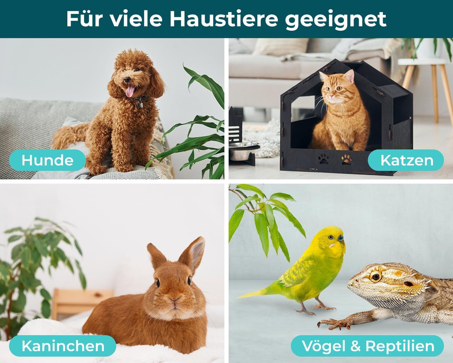 Hunde, Katzen, Kaninchen, Vögel und Reptilien. Geeignet für viele Haustiere.