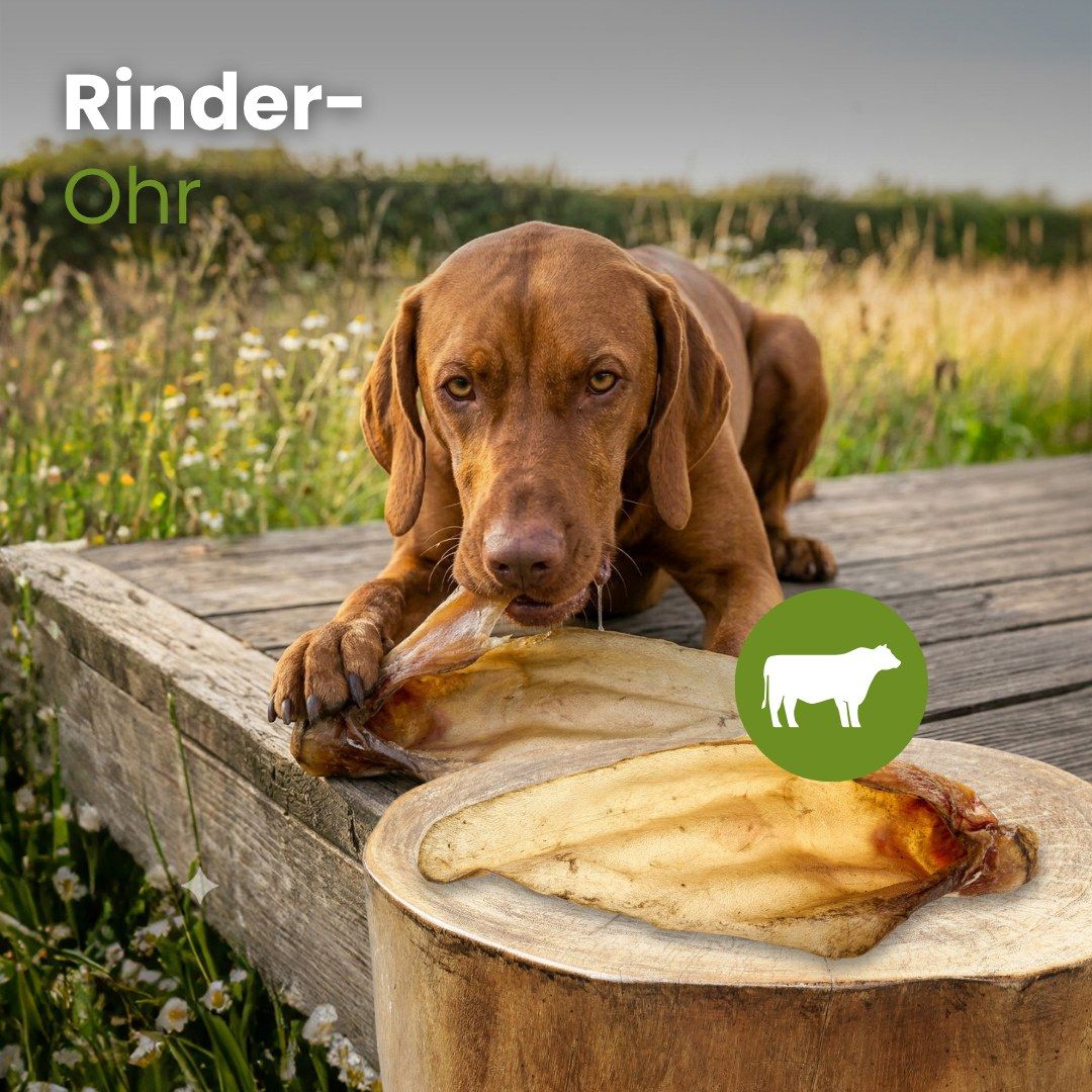 Getrocknete Rinderohren für Hunde.