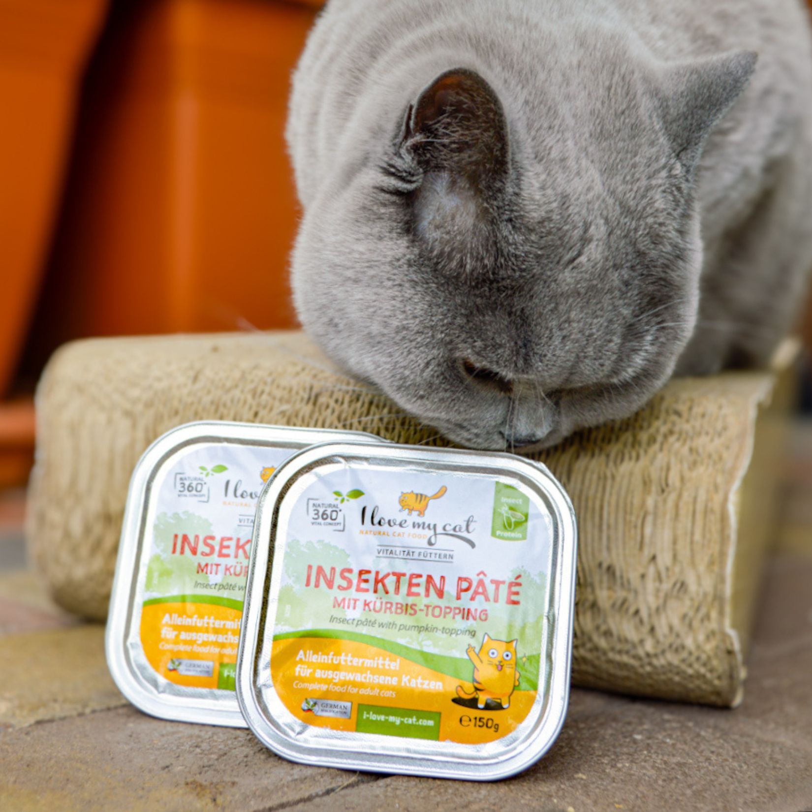 Insekten Pate mit Kürbis-topping I love my cat 150 g Futter