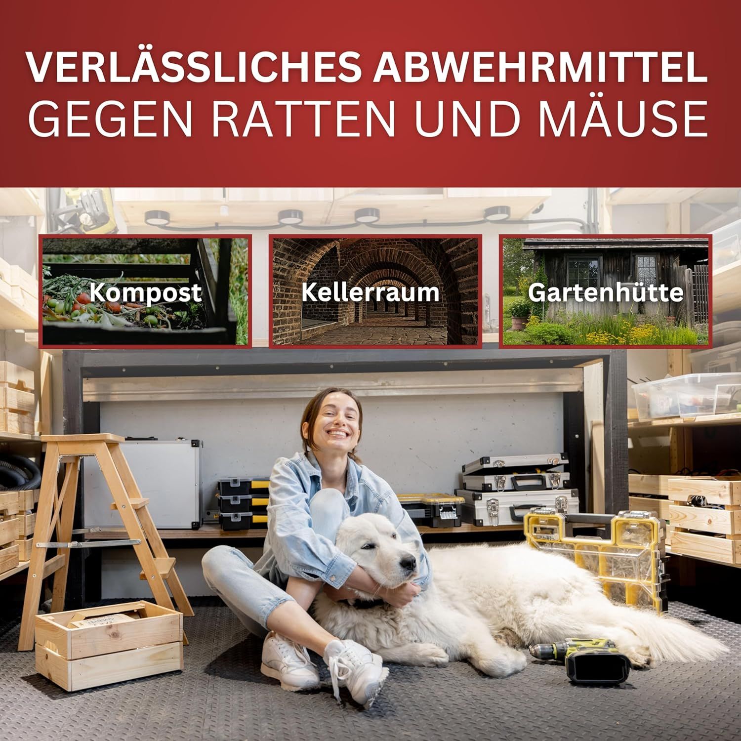 BIOFORMEL Mäuse Ex Spray Plus - Mäuseabwehr