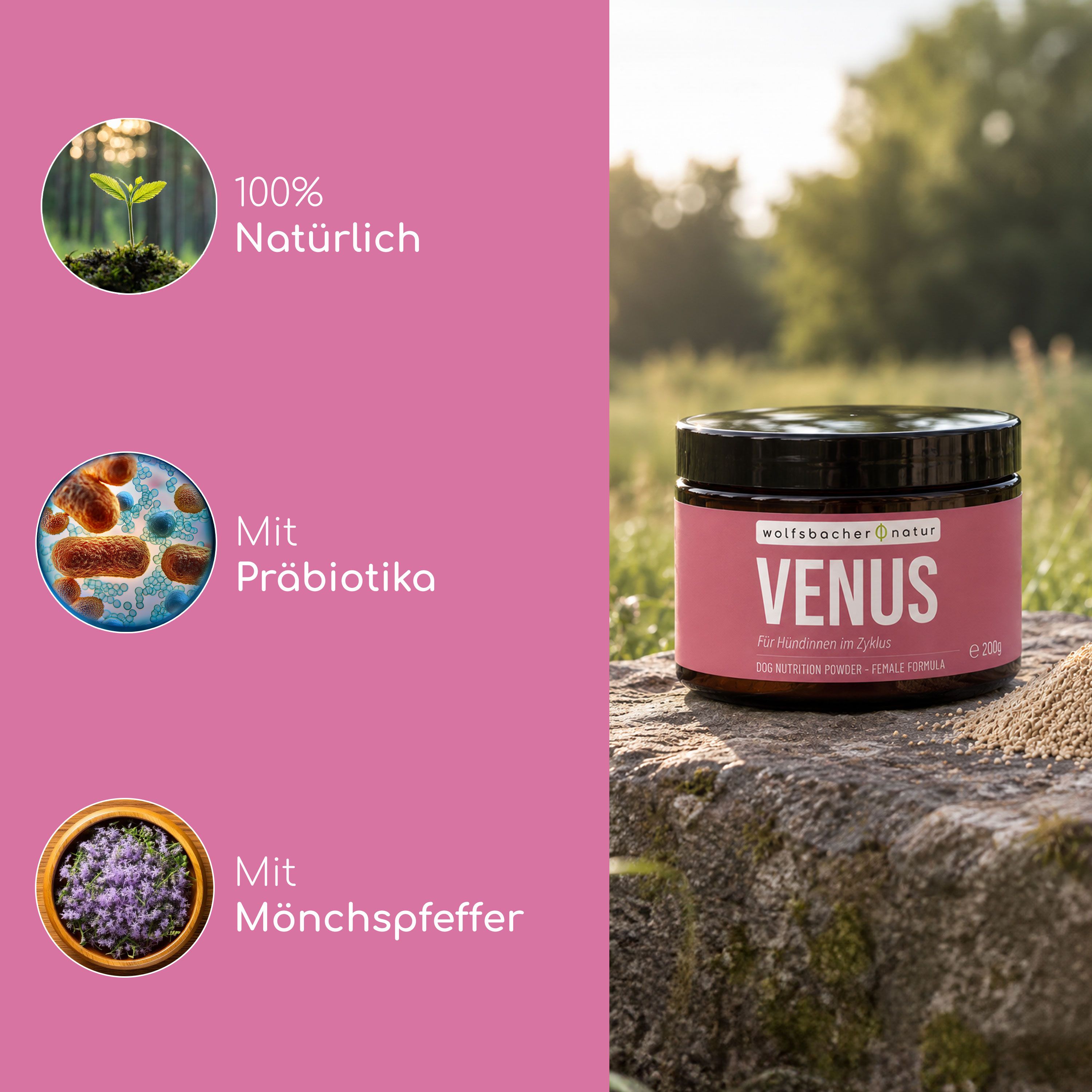 Wolfsbacher Natur Venus Pulver mit Icons für natürliche Inhaltsstoffe, Präbiotika und Mönchspfeffer.