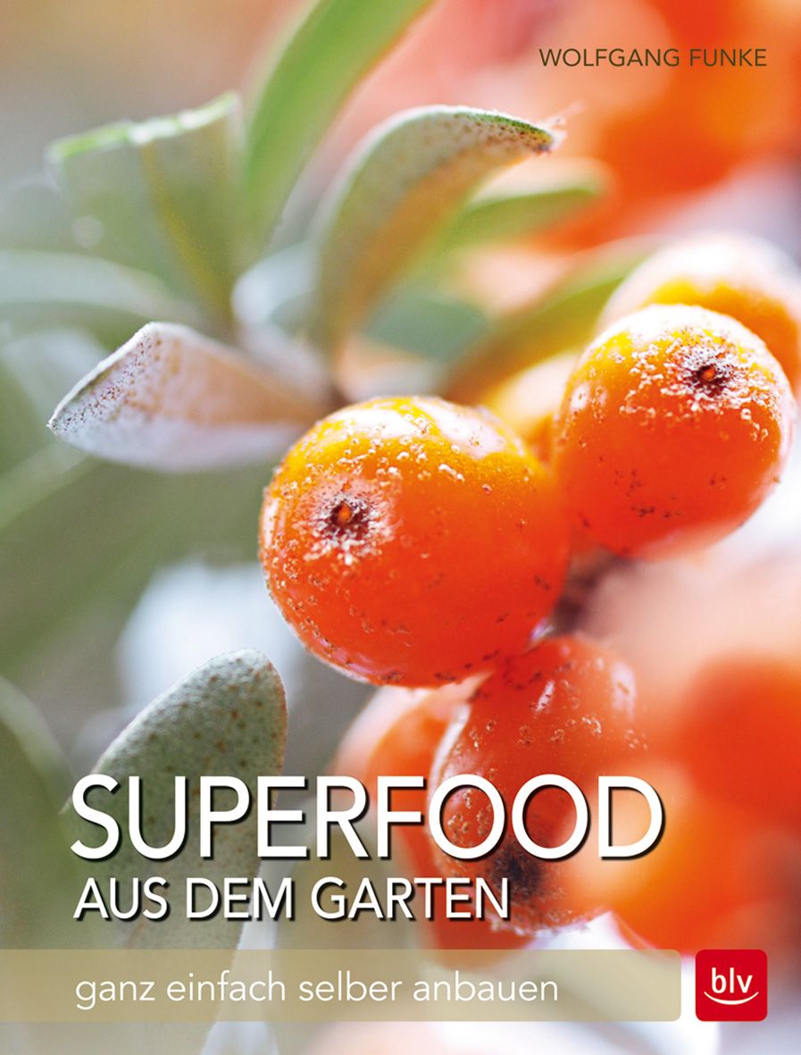Buchcover mit orangefarbenen Beeren und Blättern. Titel: Superfood aus dem Garten. Autor: Wolfgang Funke. Verlag: blv.