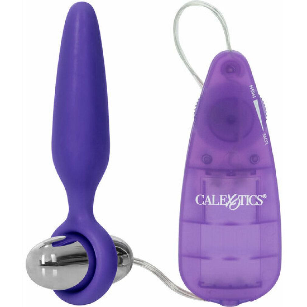 Lila Vibrator mit silberfarbenem Element und Steuerung. Marke: CalExotics. Kabel verbindet Vibrator und Steuerung.