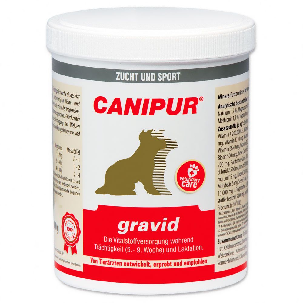 Canipur gravid
