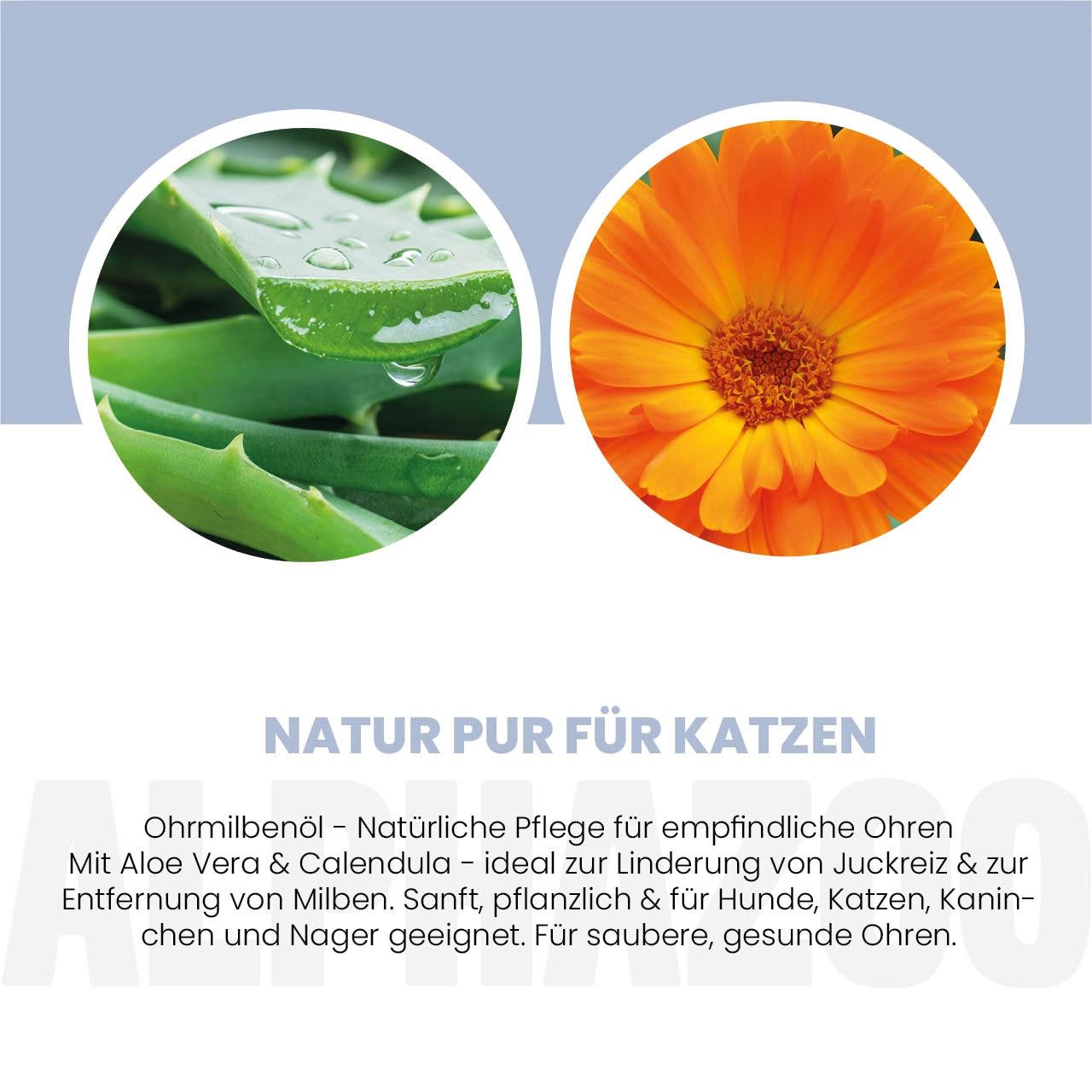 Zwei Kreise mit Bildern: Aloe Vera Blätter und eine orangefarbene Blüte. Text: Natur pur für Katzen. Ohrmilbenöl mit Aloe Vera & Calendula.