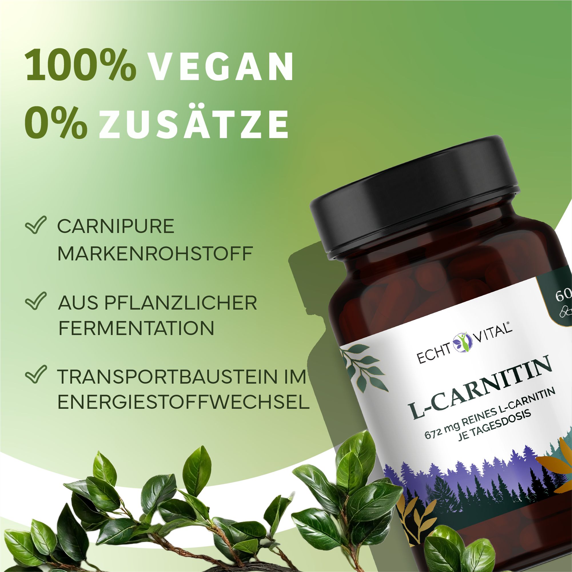 Braune Flasche mit L-Carnitin-Kapseln. Aufschrift: Echt Vital, L-Carnitin, 672 mg reines L-Carnitin. 100% vegan, 0% Zusätze. Carnipure, aus pflanzlicher Fermentation.