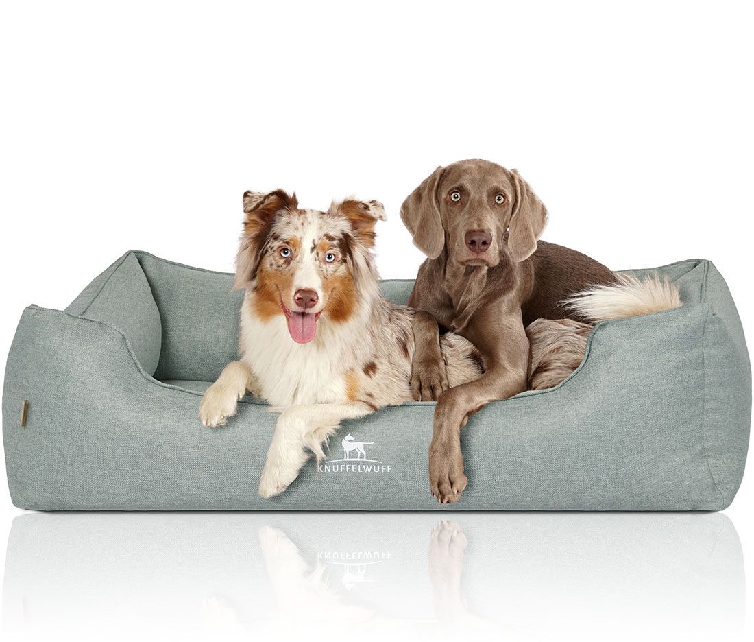 Hundebett Luisa, hellgrau, mit zwei Hunden. Ein Hund liegt, einer sitzt. Knuffelwuff Logo sichtbar.