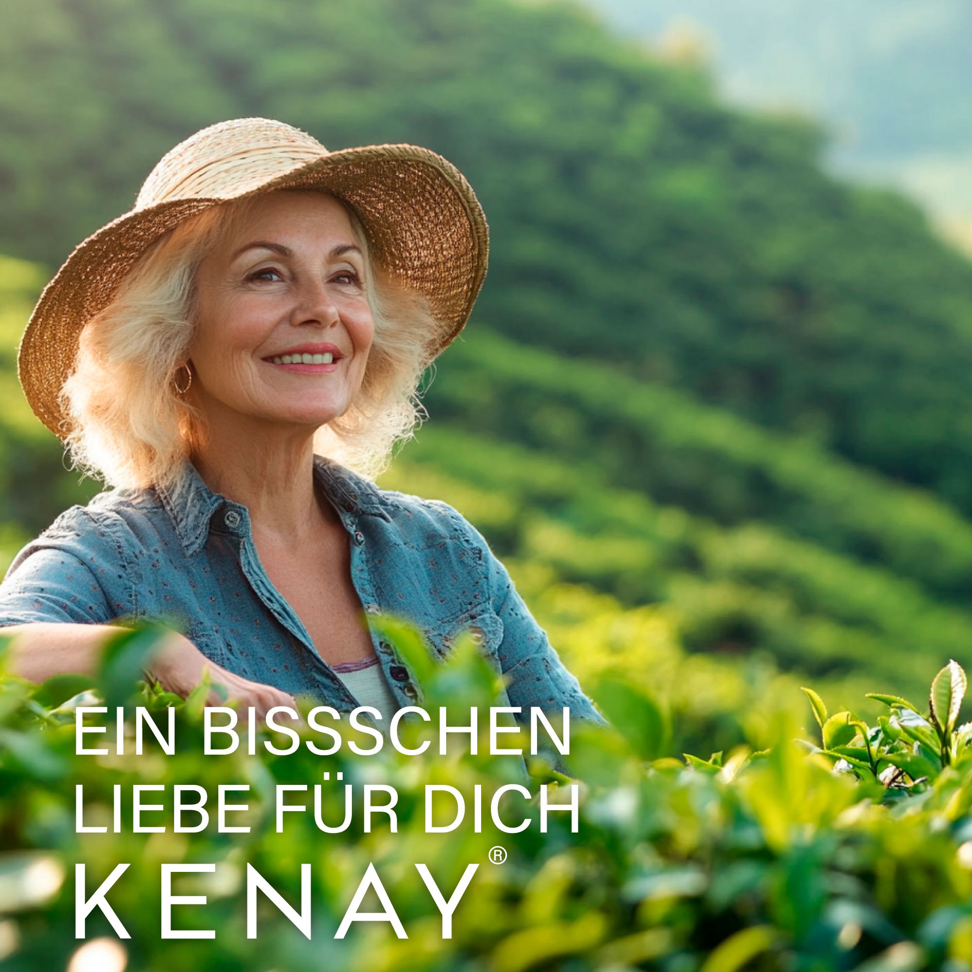 Grüntee-Catechine Teavigo® | KENAY®