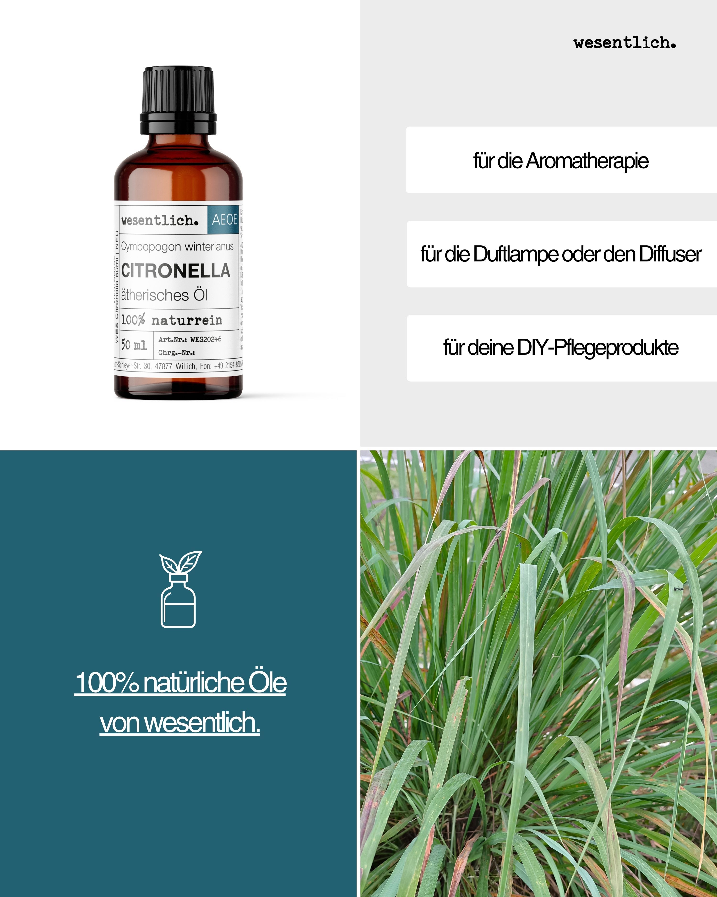 Collage: Flasche Citronella Öl, Anwendungshinweise, 100% natürliche Öle, Citronella-Pflanze.