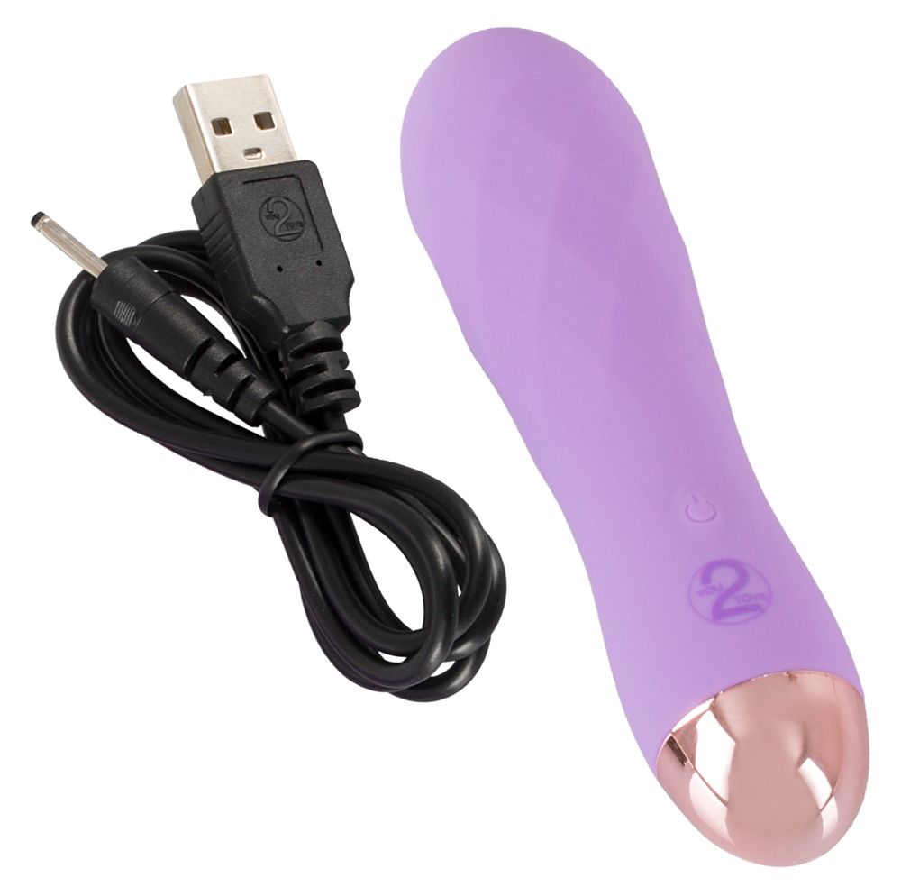 Lila Vibrator mit USB-Ladekabel. Goldfarbene Spitze, Bedienknöpfe. Auf weißem Hintergrund.