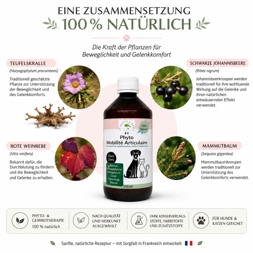 Braune Glasflasche mit weißem Verschluss, Etikett mit Hund- und Katzensilhouette, 250ml.
