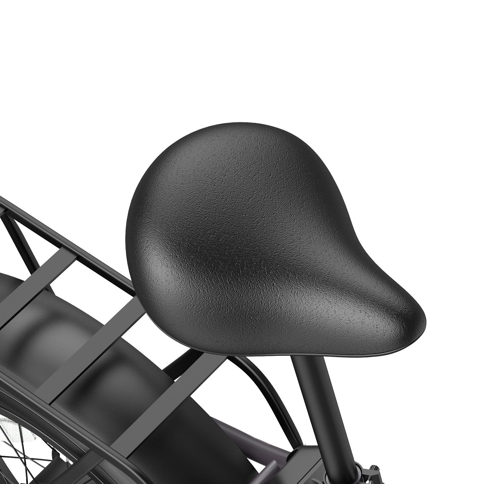 FAFREES FF20 Polar Faltbares Elektrofahrrad, EU-Typgenehmigung, Doppelakku