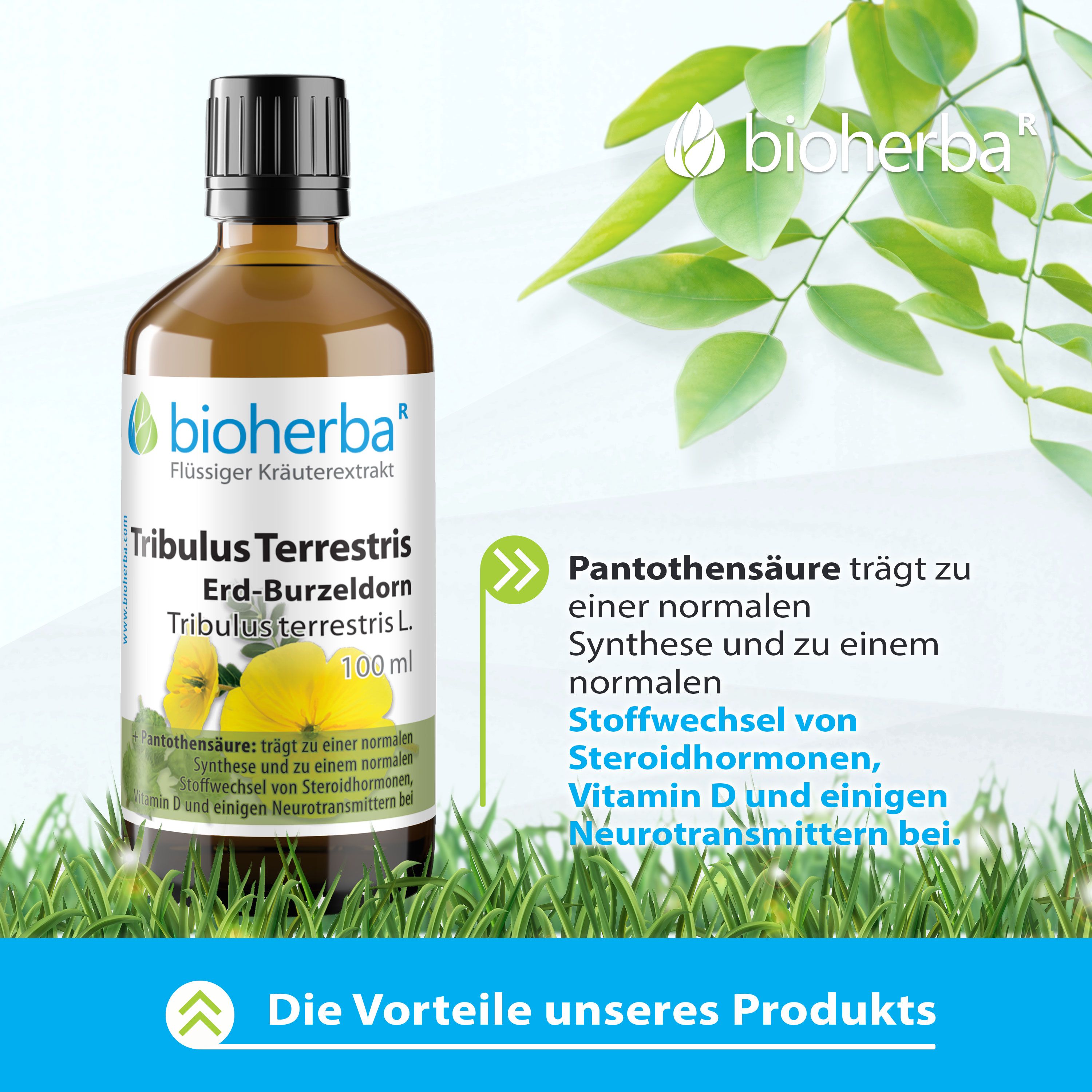 Bioherba Tribulus Terrestris Erd-Burzeldorn Tropfen Tinktur