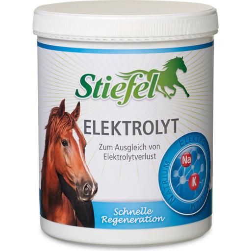 Stiefel Elektrolyt 1 kg