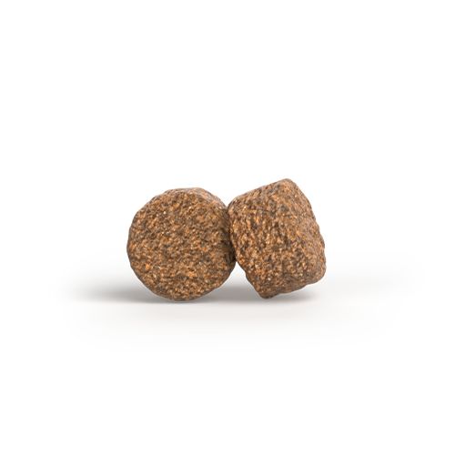 Zwei runde, braune Kroketten. Nahaufnahme, vor weißem Hintergrund.