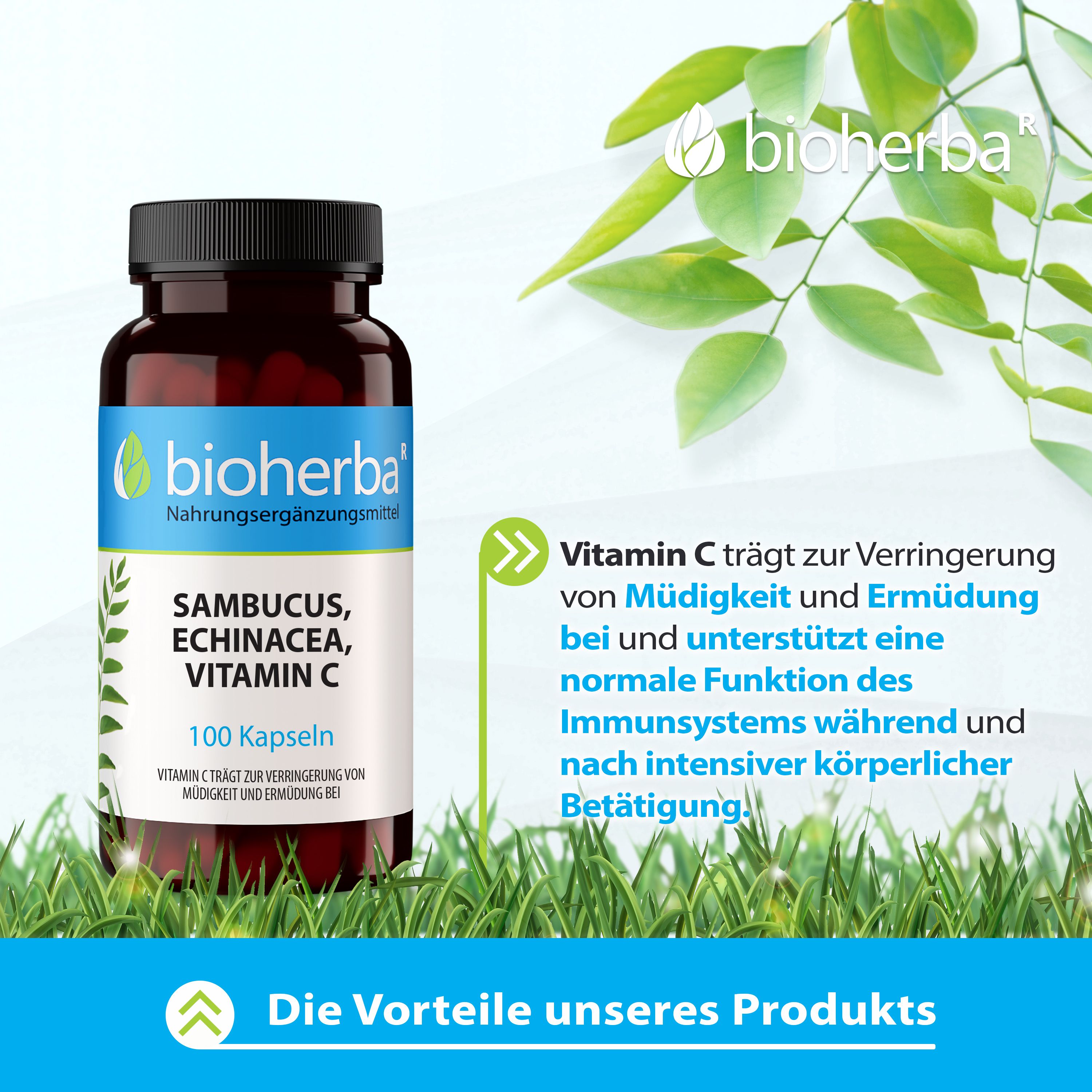 Bioherba Sambucus, Echinacea, Vitamin C Kapseln
