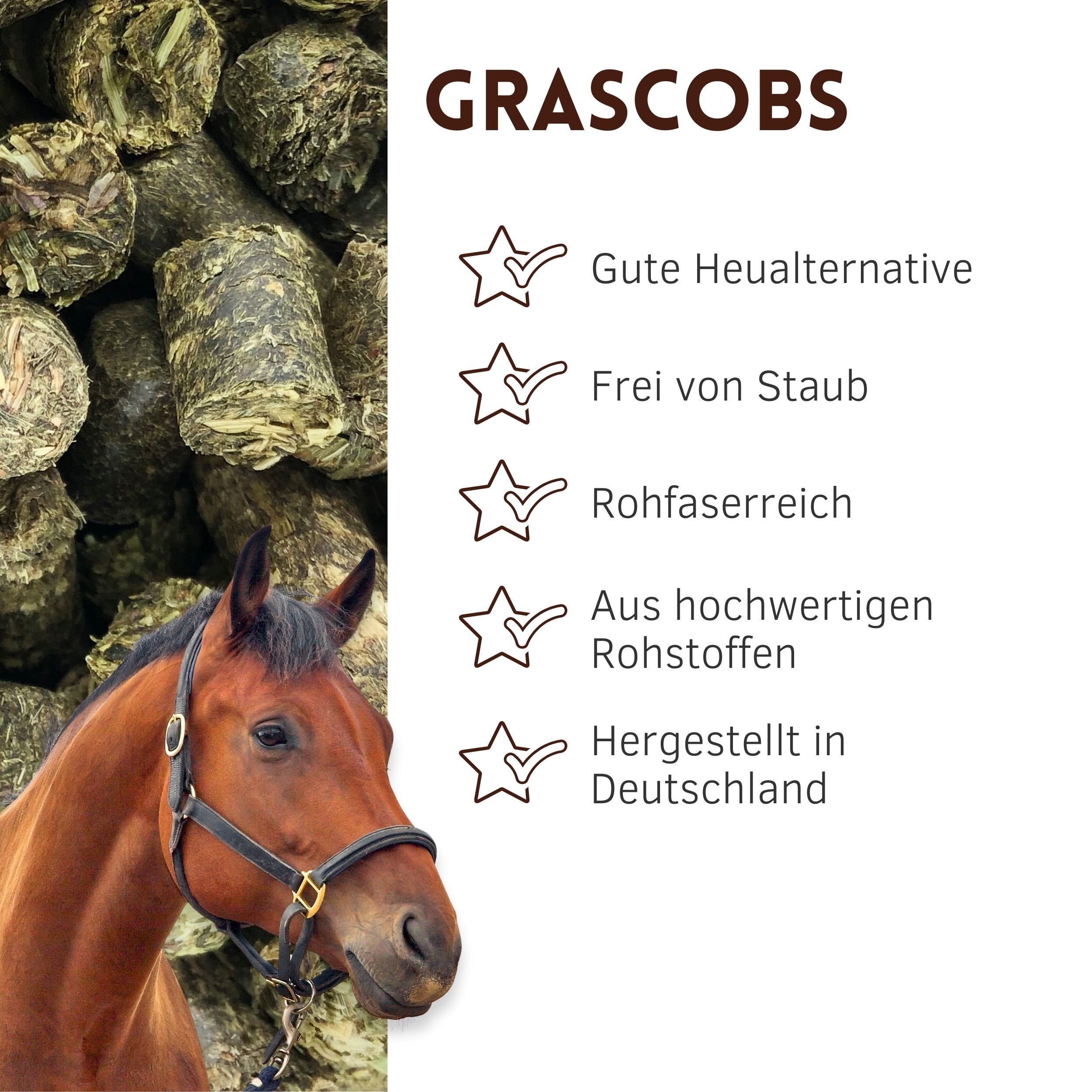 Grüne Grascobs. Text: Gute Heualternative, staubfrei, reich an Rohfaser, aus hochwertigen Rohstoffen, hergestellt in Deutschland.