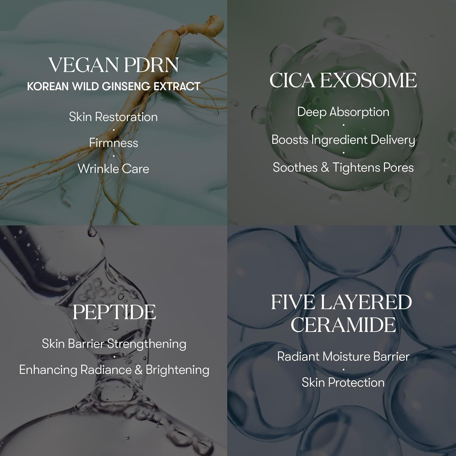 VT Cosmetics PDRN Cica Exosome Firming Ampoule